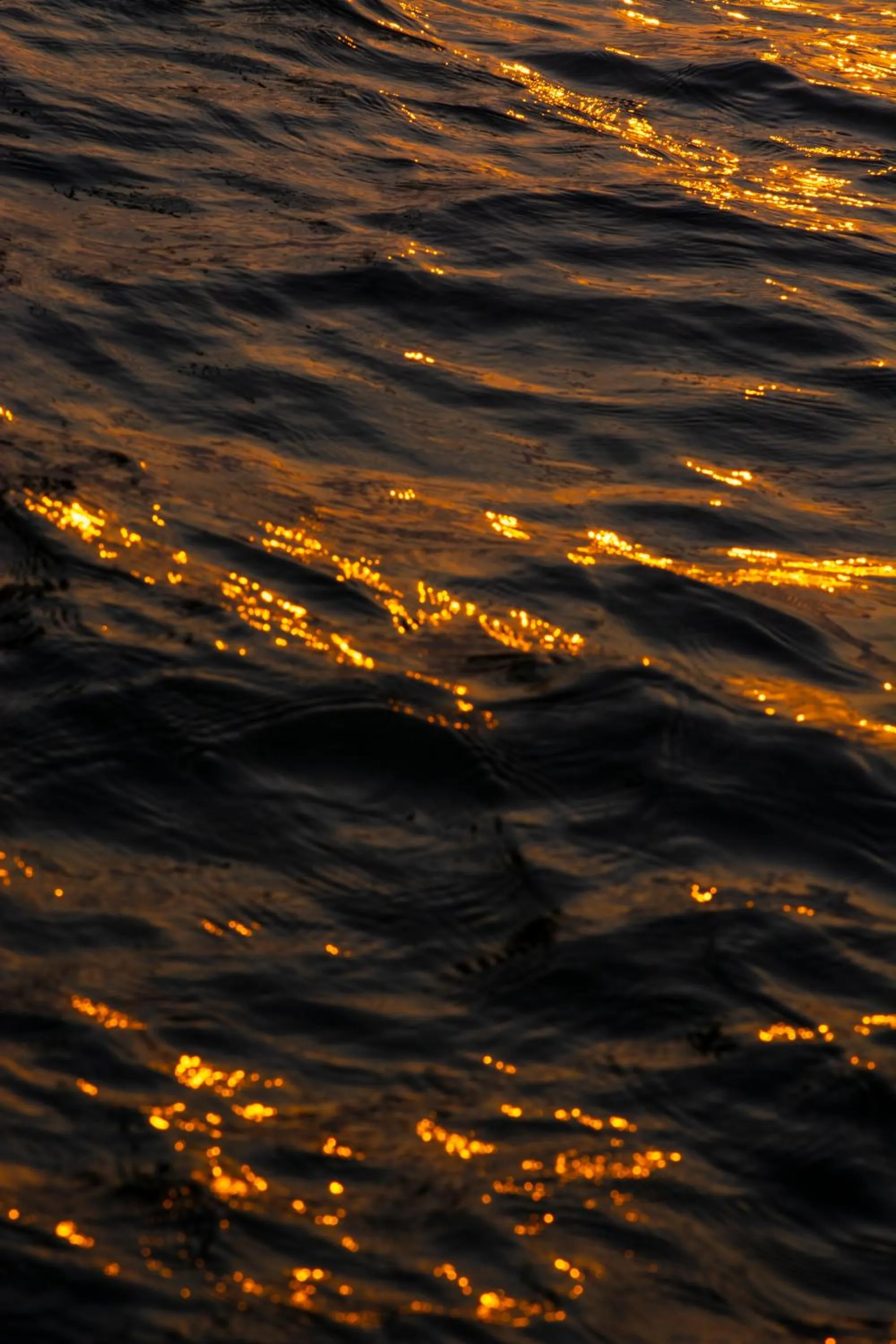 Natural landscape in Marvel Cruise