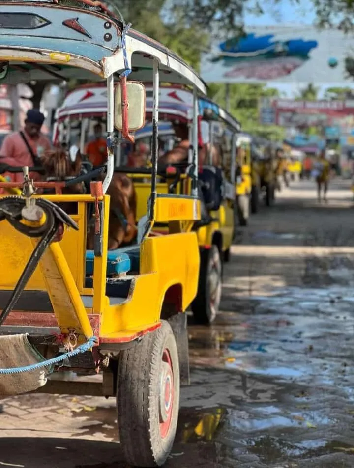 Day in Gili Ocean Club - ADULTS ONLY