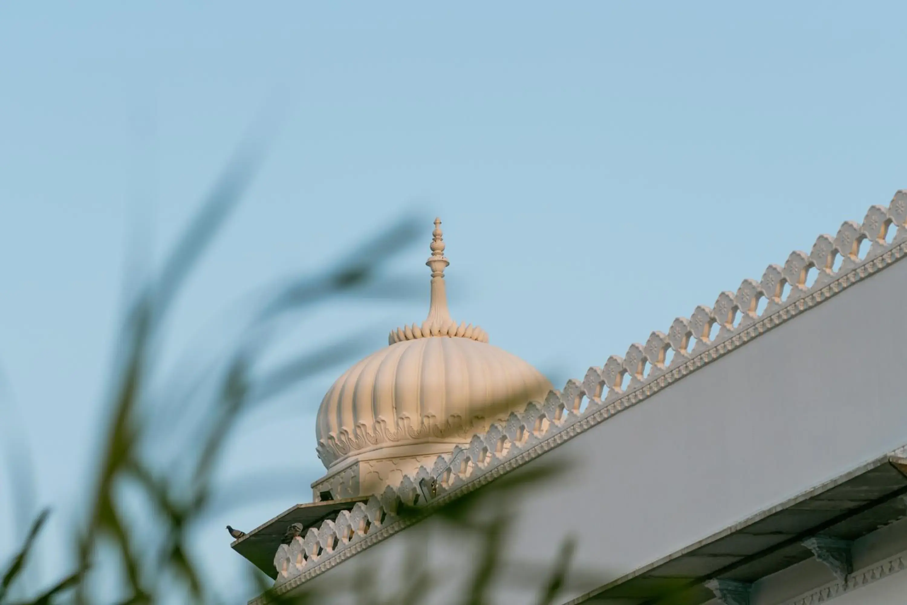 Property building in Daulatgarh Resort Property building in Daulatgarh Resort