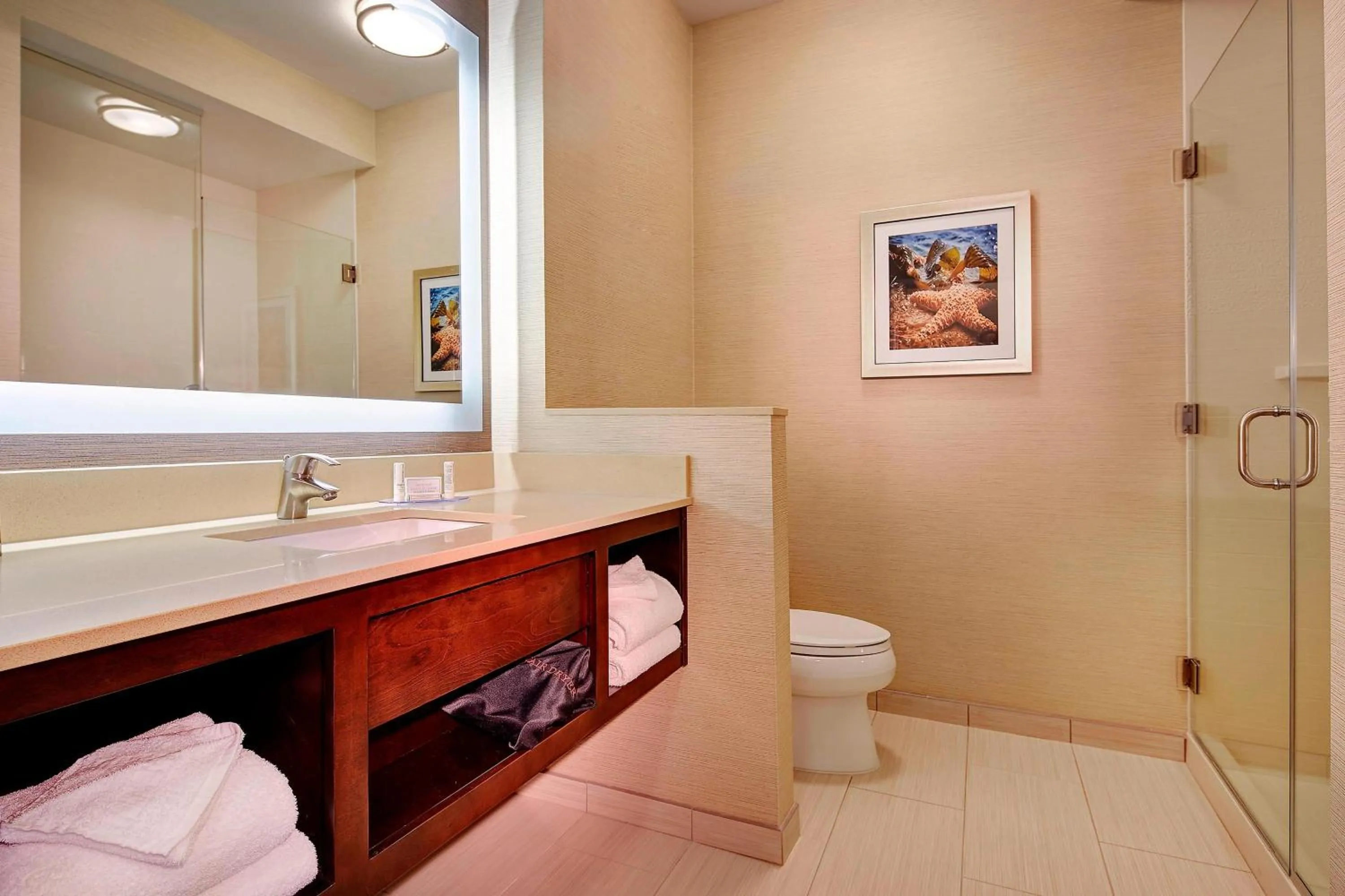 Bathroom in Fairfield Inn & Suites by Marriott San Diego Carlsbad