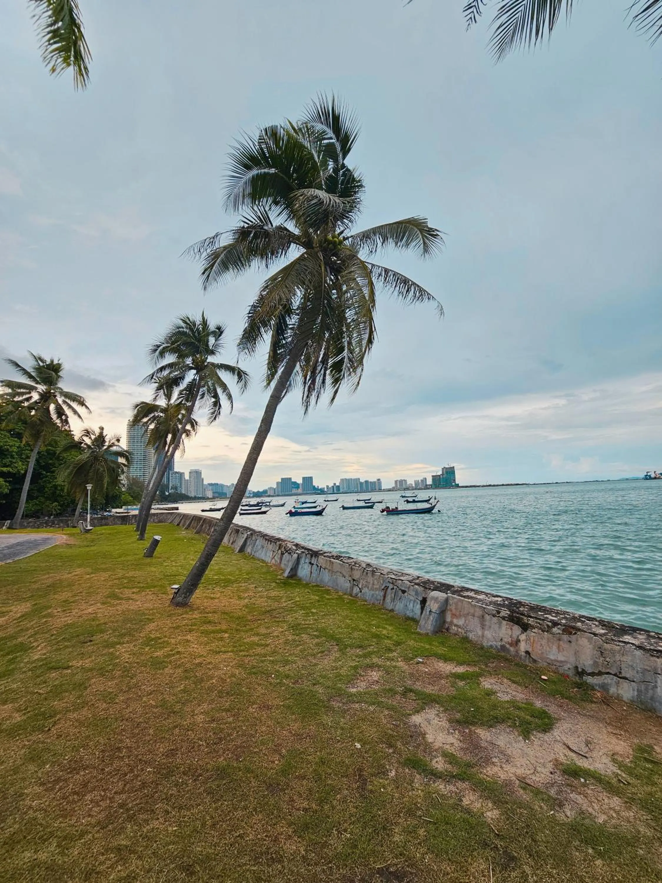 The Palm Suite at Lava Mansion