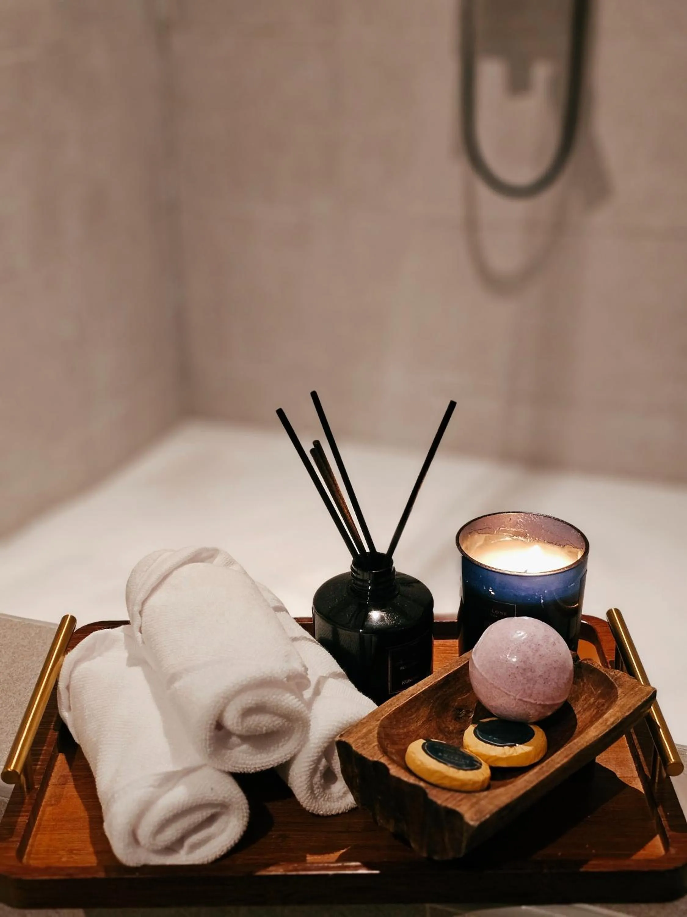 The Palm Suite at Lava Mansion