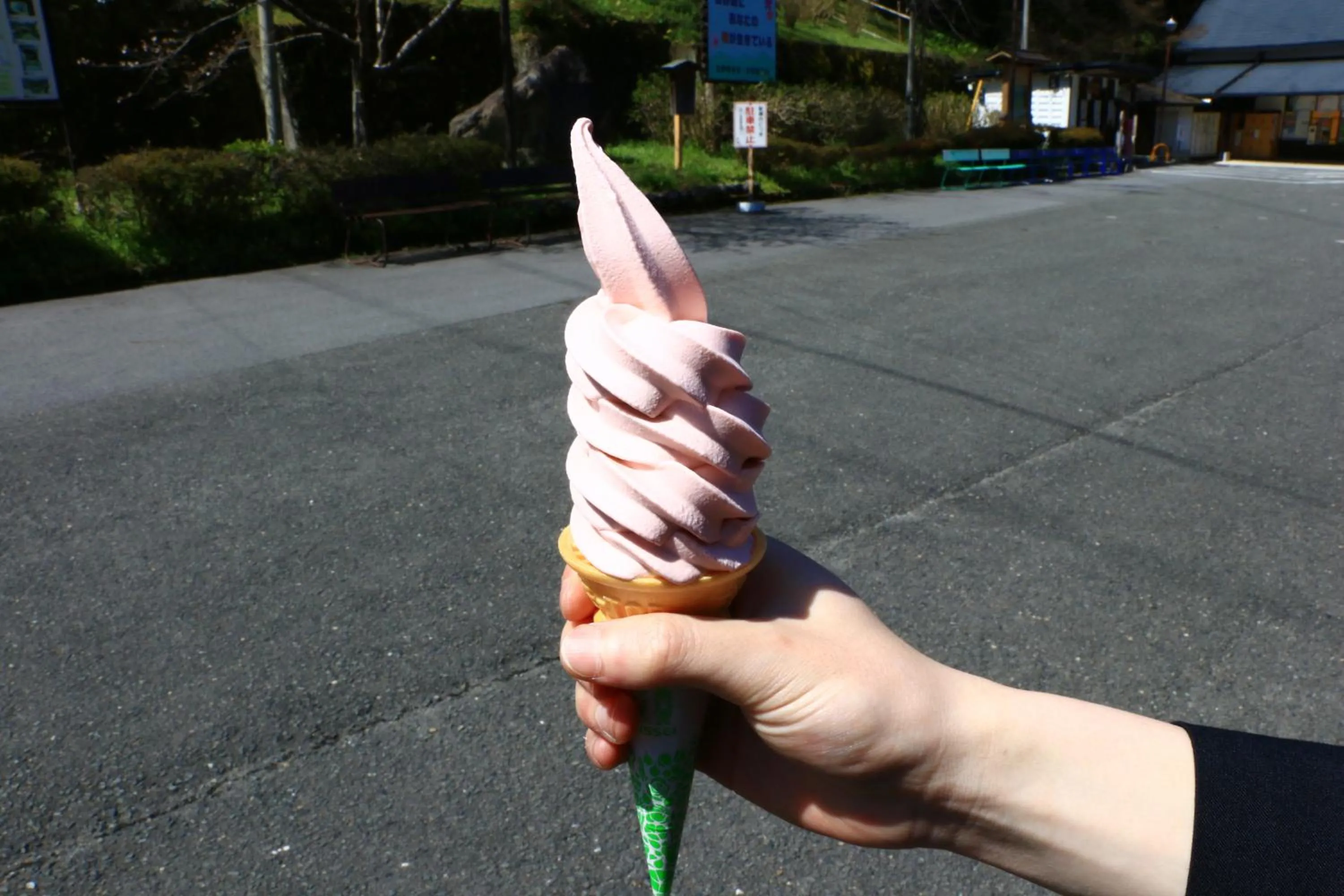 Nearby landmark in Miyoshino Sakuraan