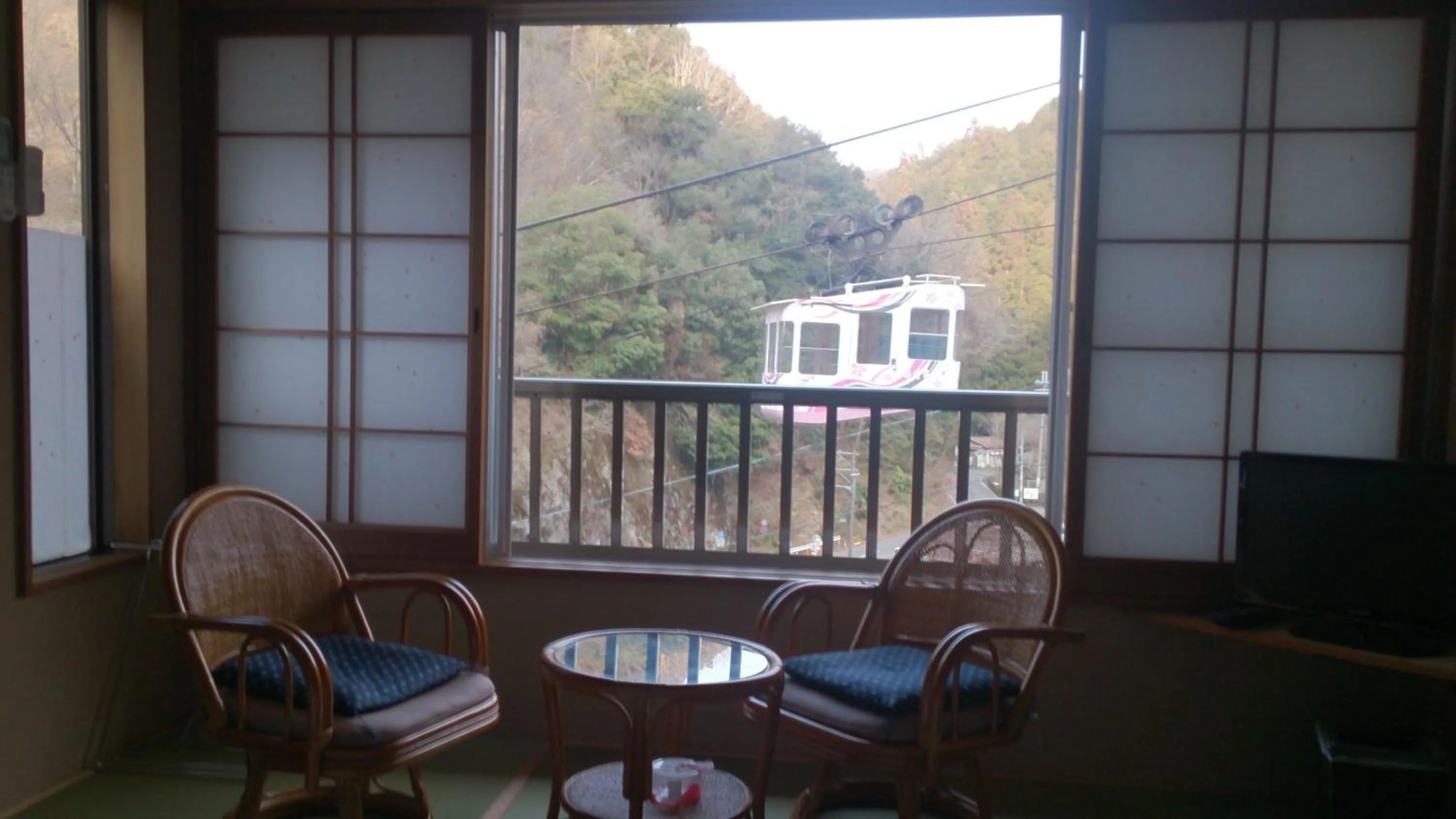 View (from property/room) in Miyoshino Sakuraan