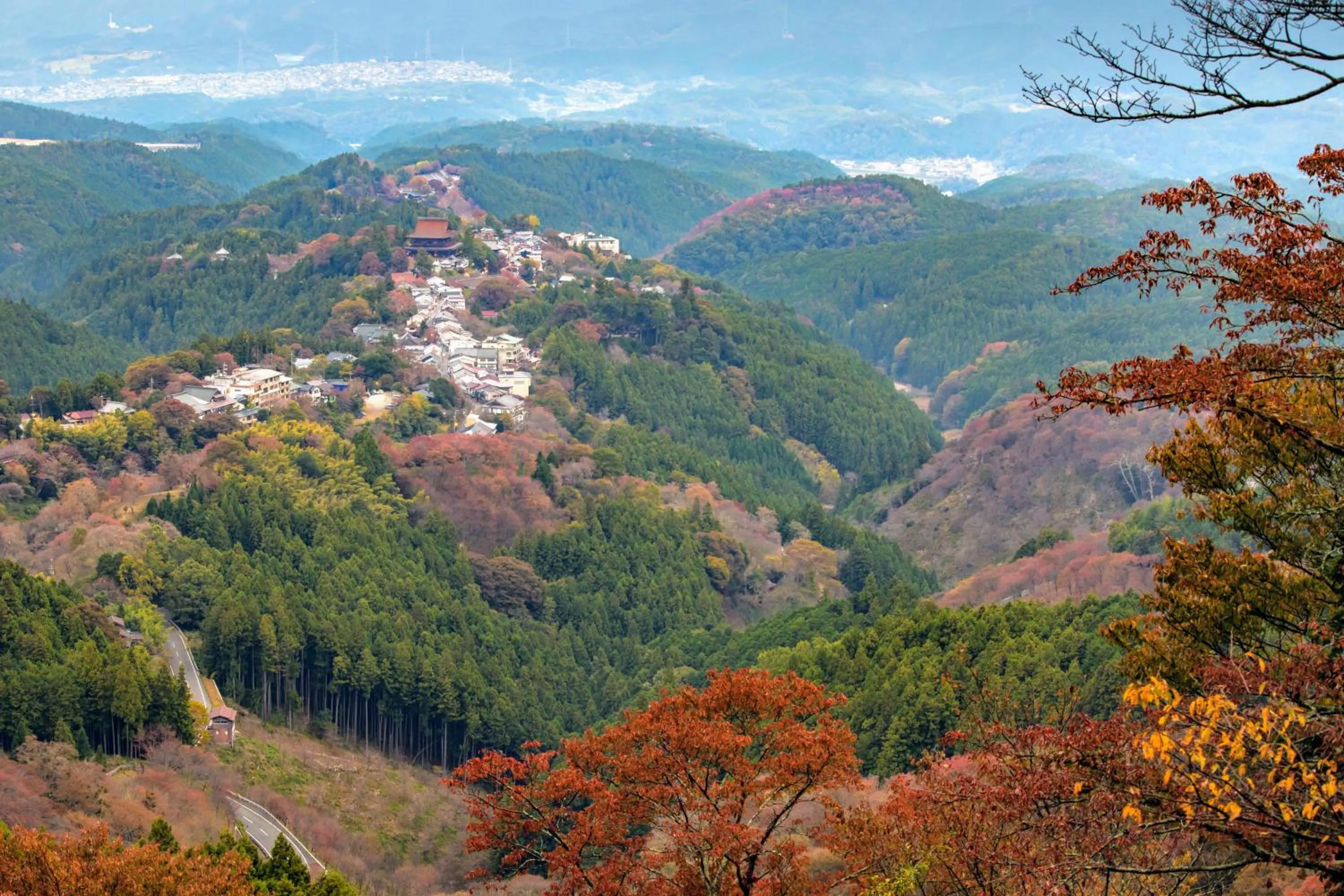 Nearby landmark in Miyoshino Sakuraan