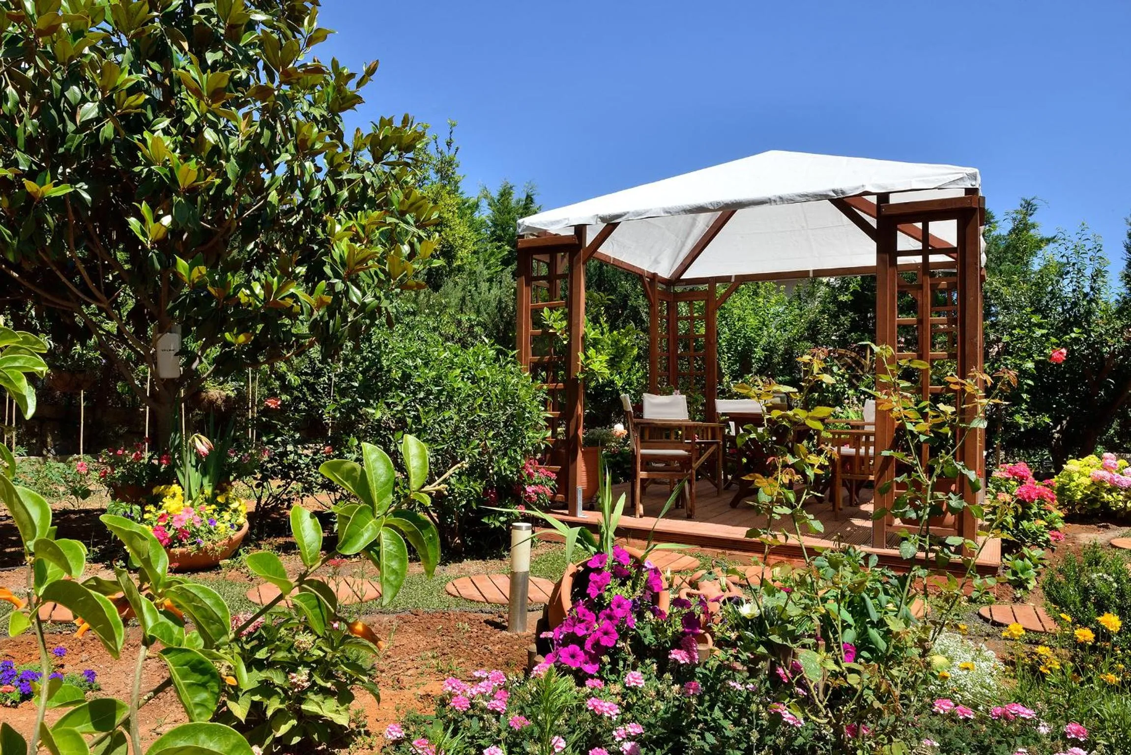 Garden in Stamatakis Boutique Studios