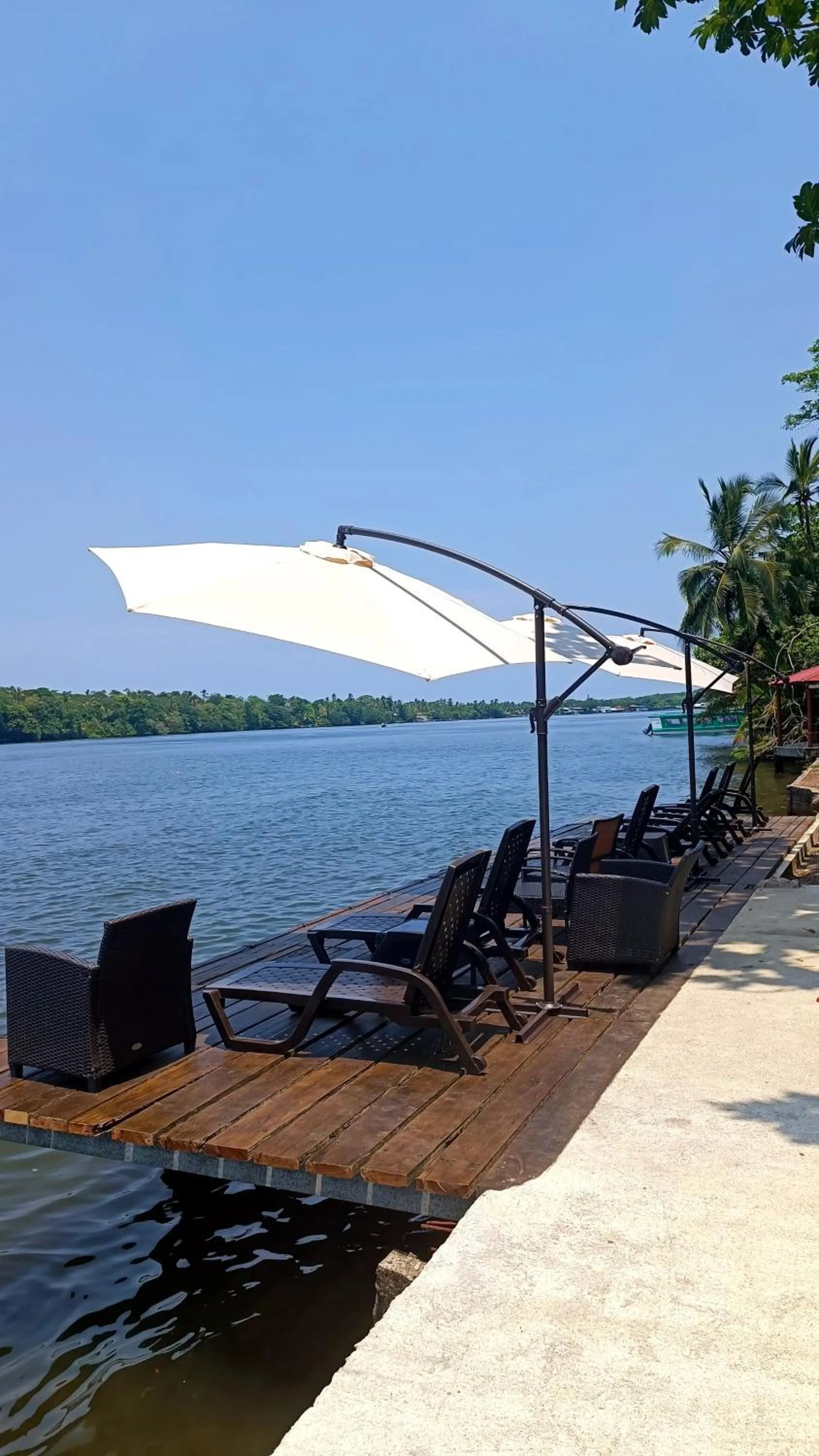 Balcony/Terrace in Valverde Glamping & Ecolodge