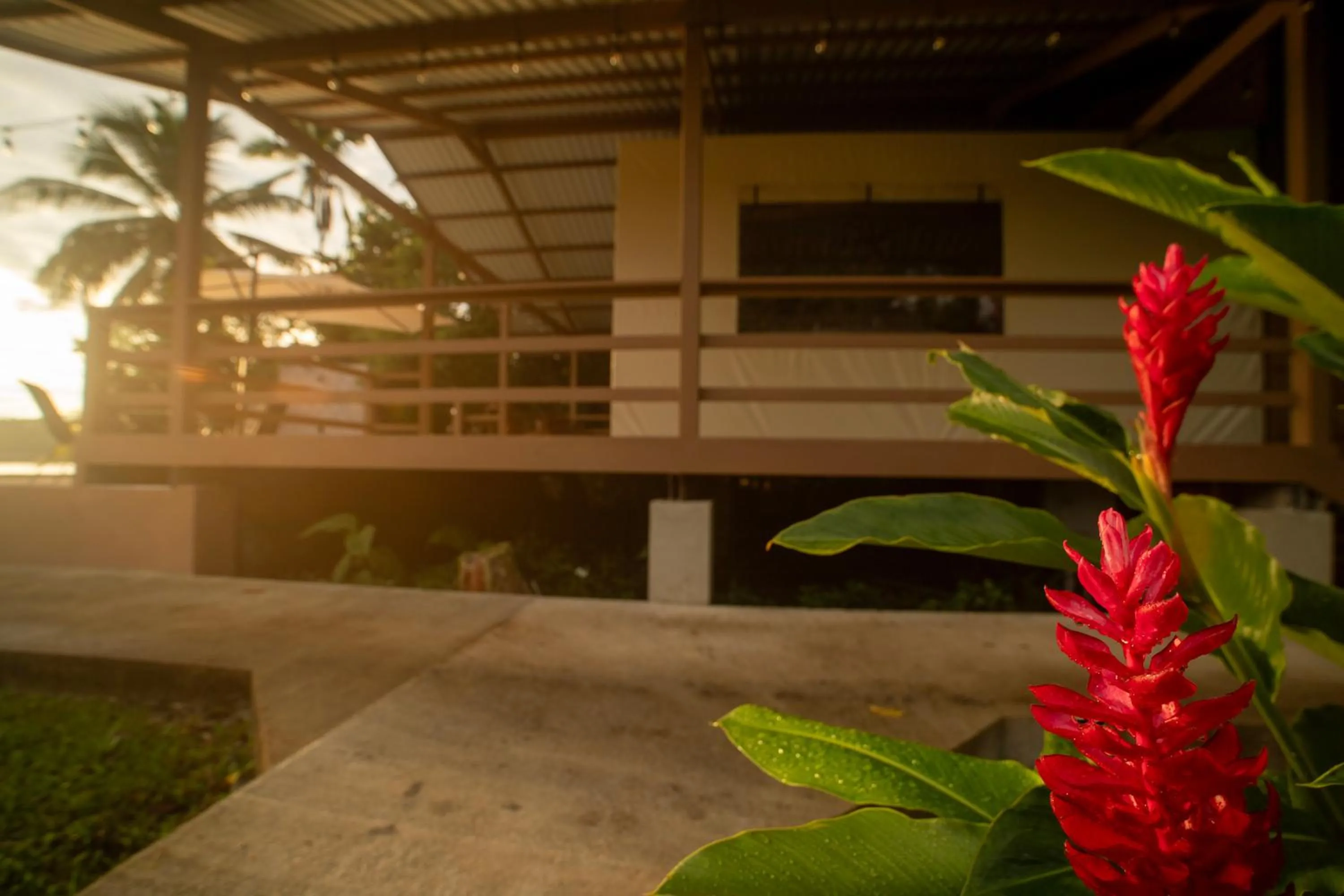 Photo of the whole room in Valverde Glamping & Ecolodge
