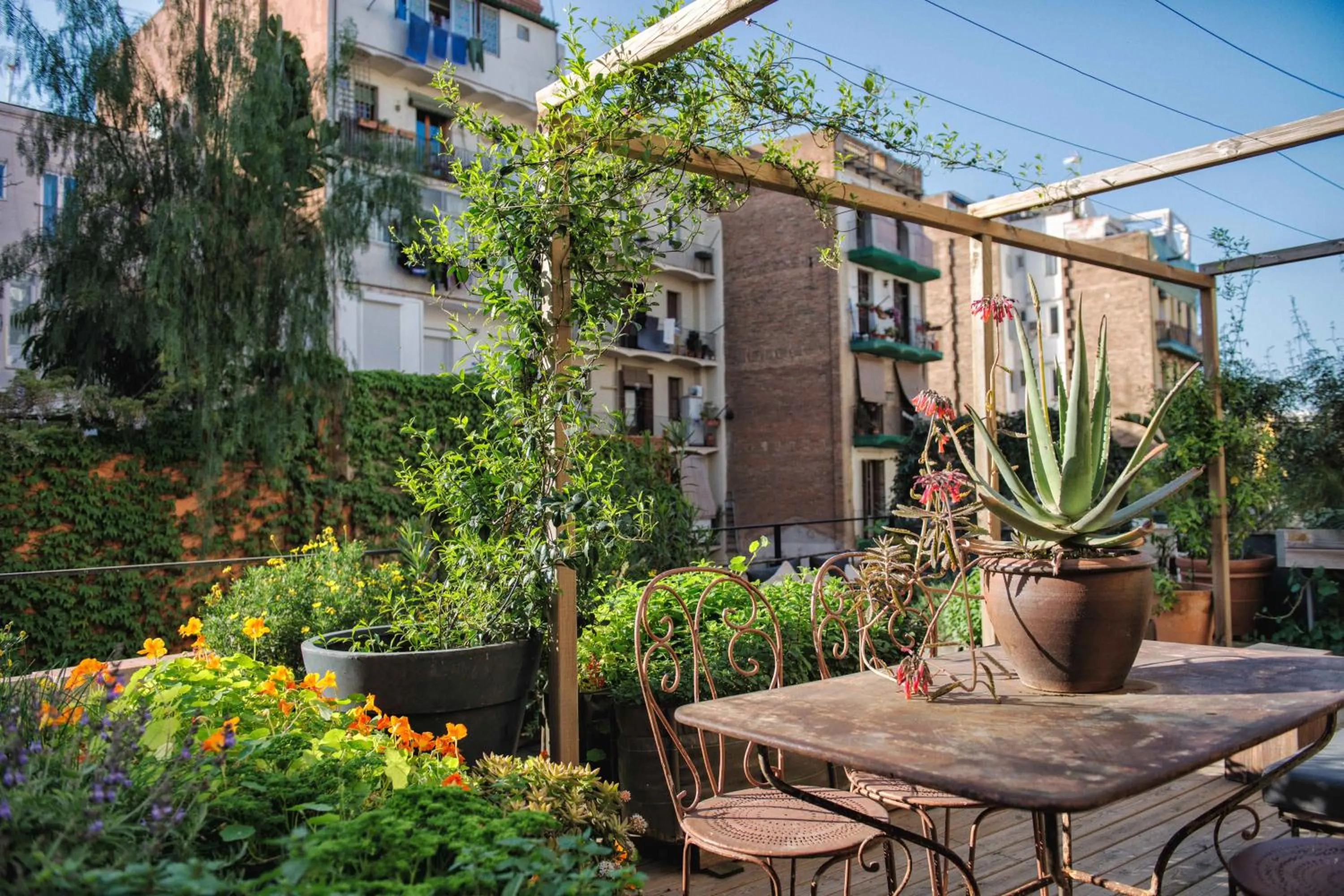 Garden in Hotel Brummell