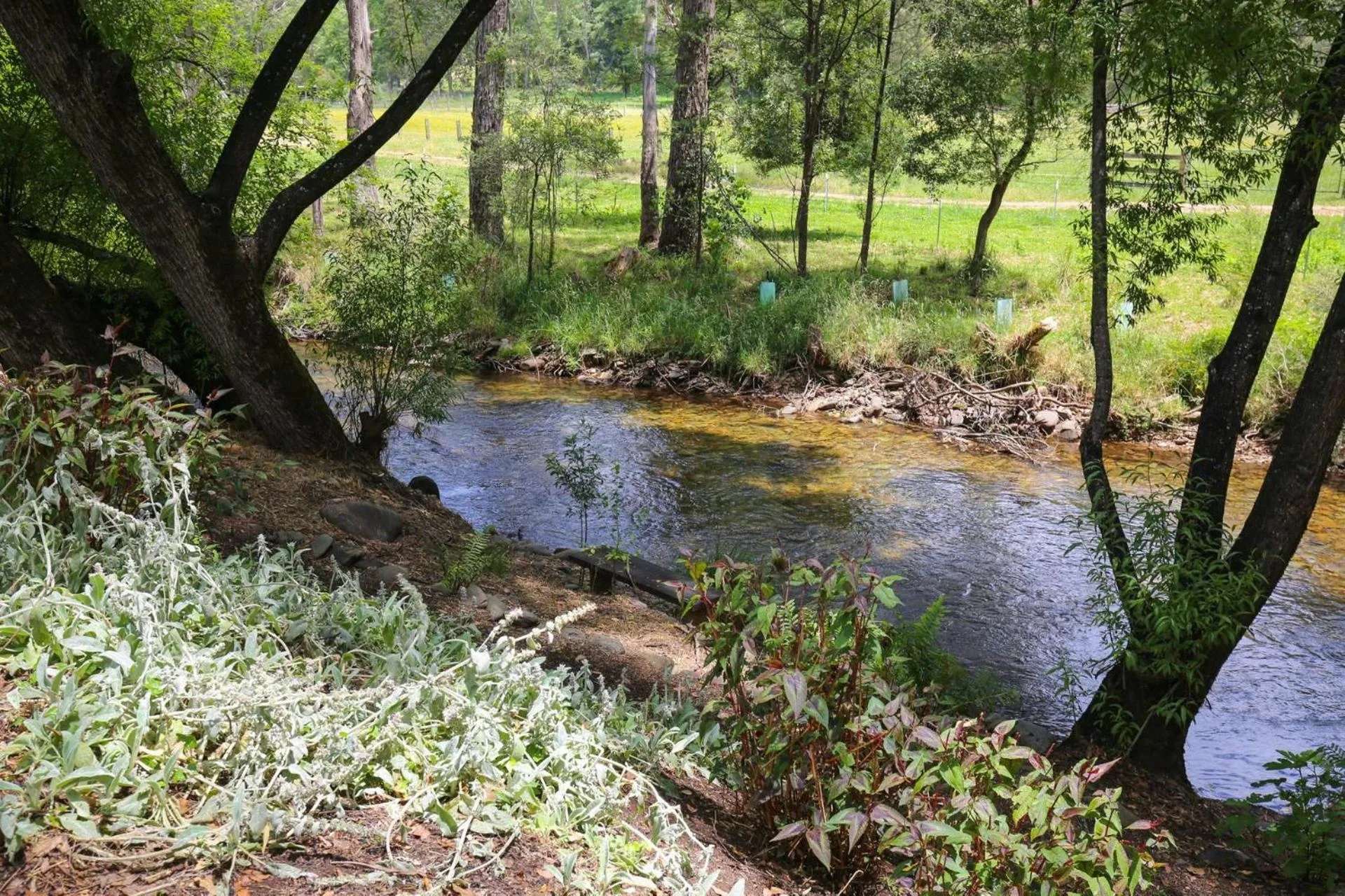 Natural landscape in Dieudonne