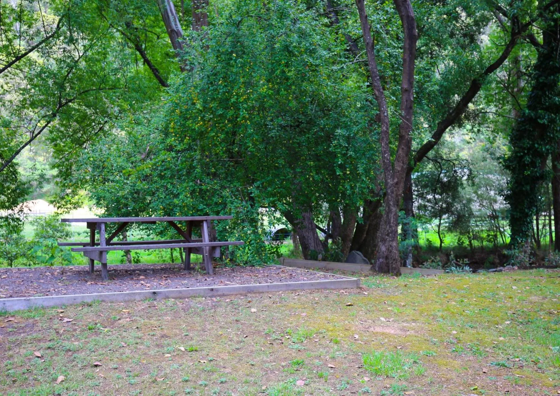 Natural landscape in Dieudonne