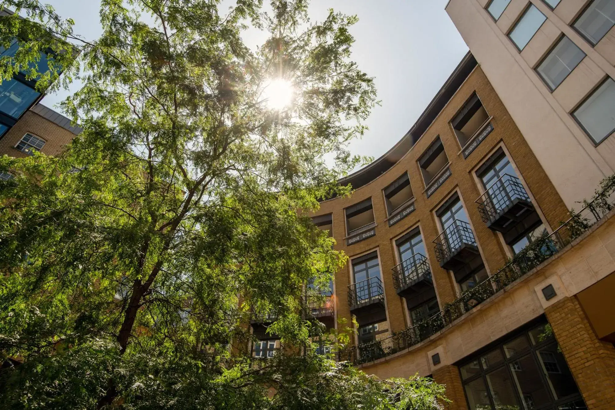 Property building in Cove St Martin's Property building in Cove St Martin's