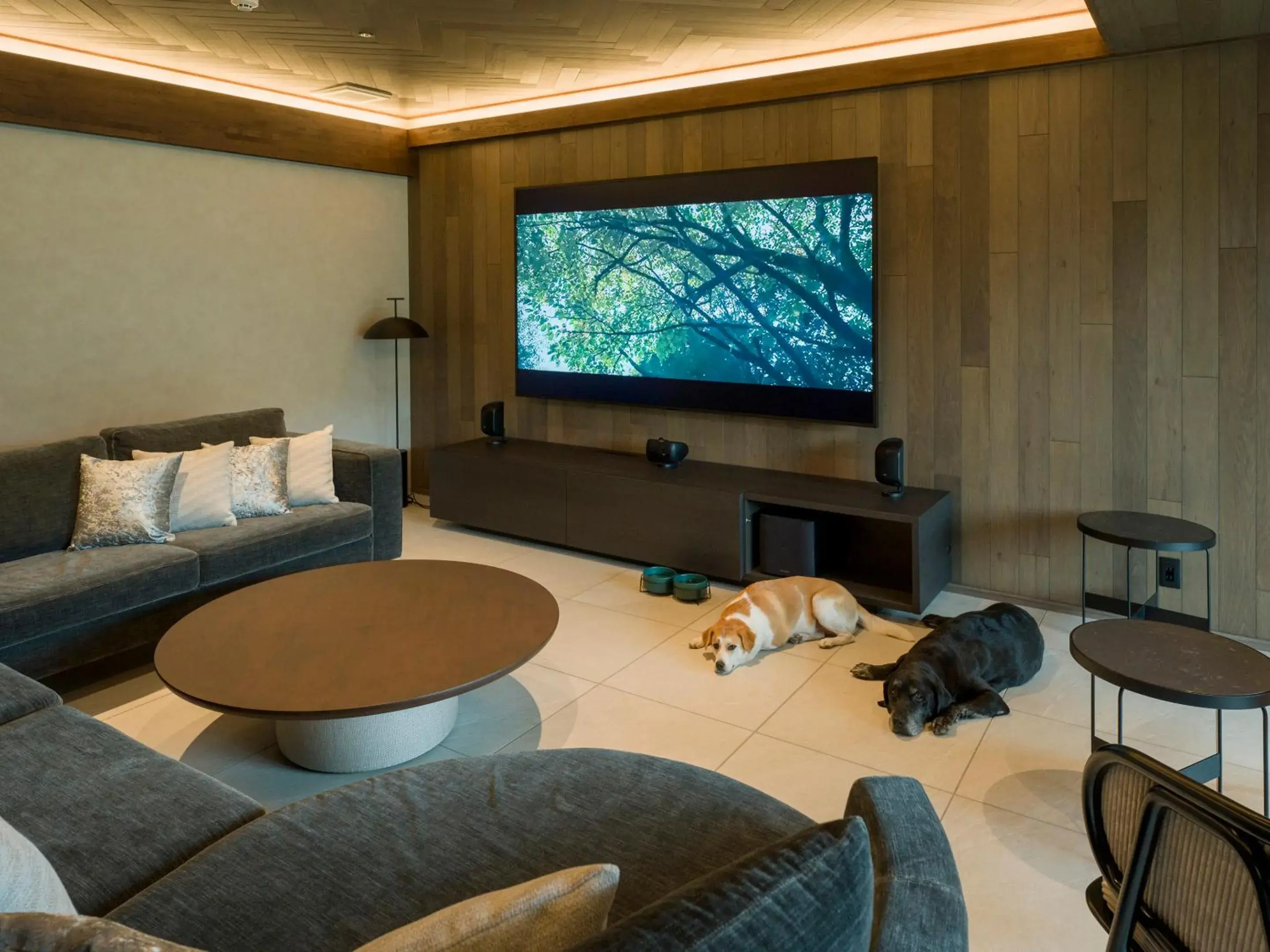 Living room, Bed in Rakuten STAY TERRACE Hakone Kowakudani Living room, Bed in Rakuten STAY TERRACE Hakone Kowakudani