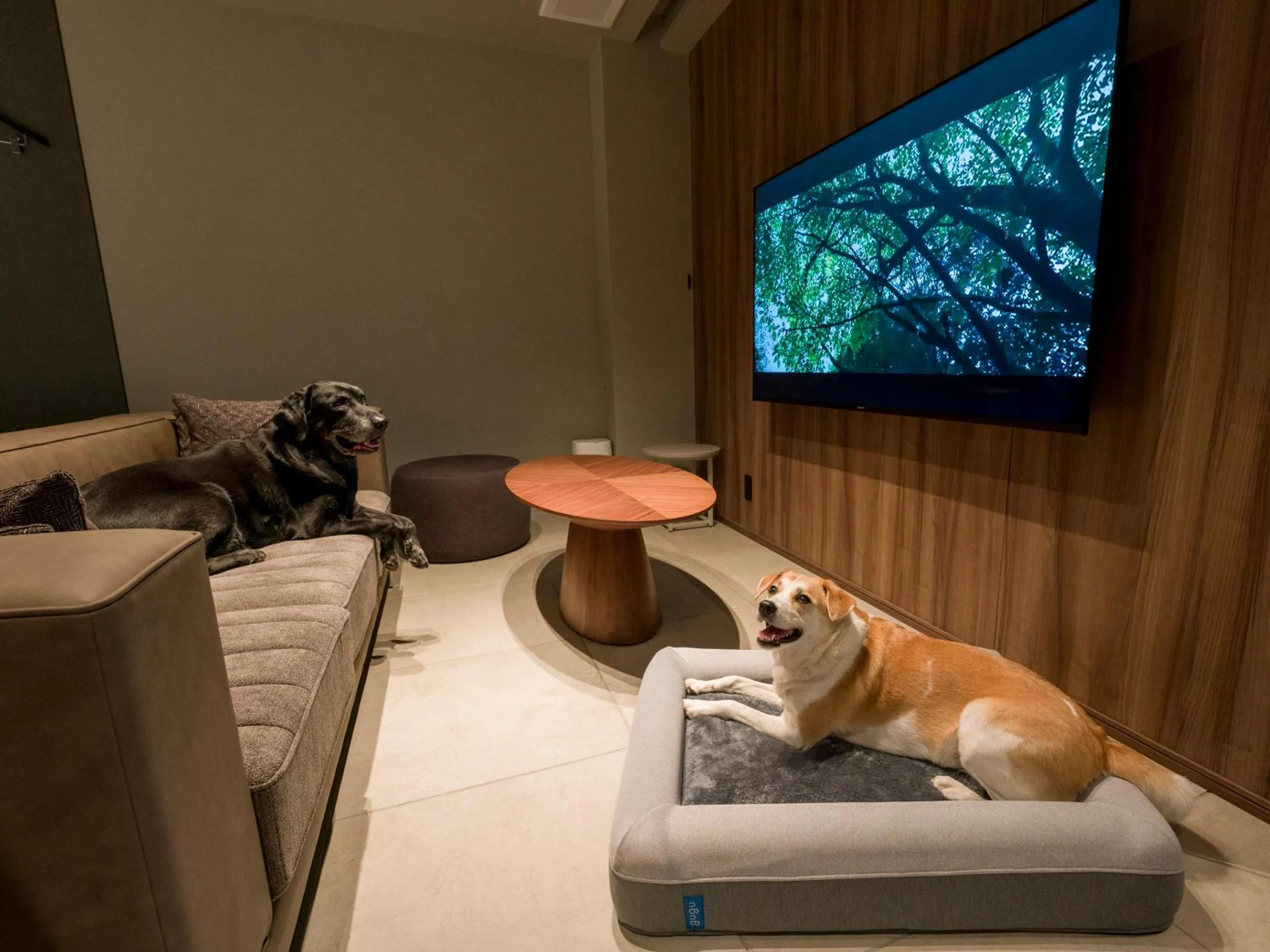 Photo of the whole room in Rakuten STAY TERRACE Hakone Kowakudani