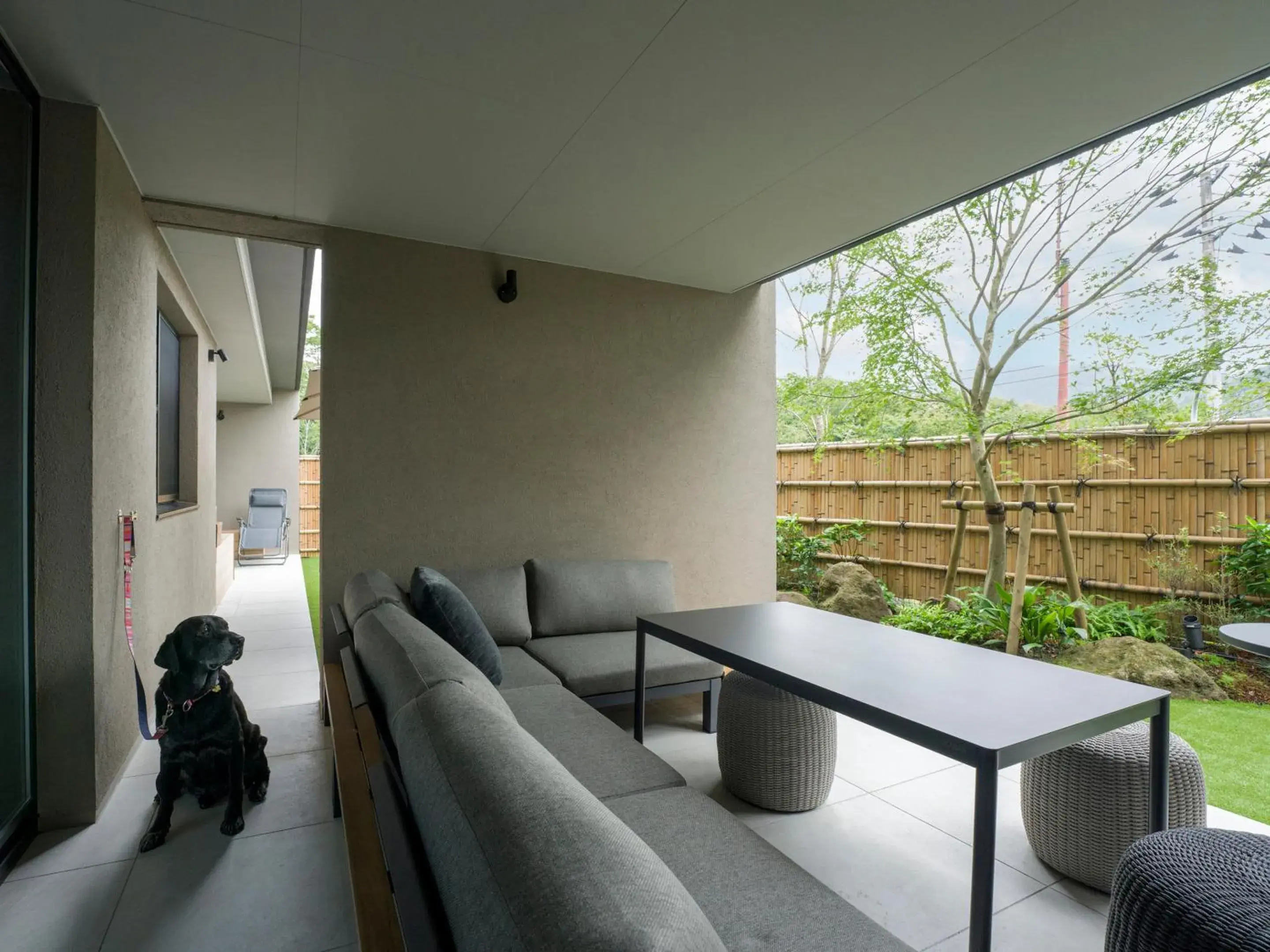 View (from property/room) in Rakuten STAY TERRACE Hakone Kowakudani View (from property/room) in Rakuten STAY TERRACE Hakone Kowakudani