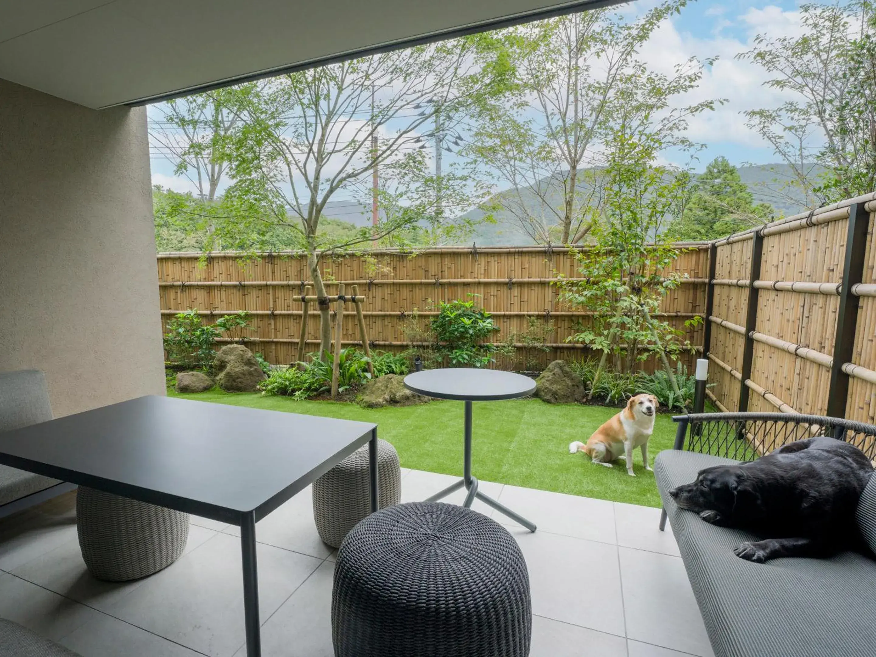 View (from property/room) in Rakuten STAY TERRACE Hakone Kowakudani View (from property/room) in Rakuten STAY TERRACE Hakone Kowakudani