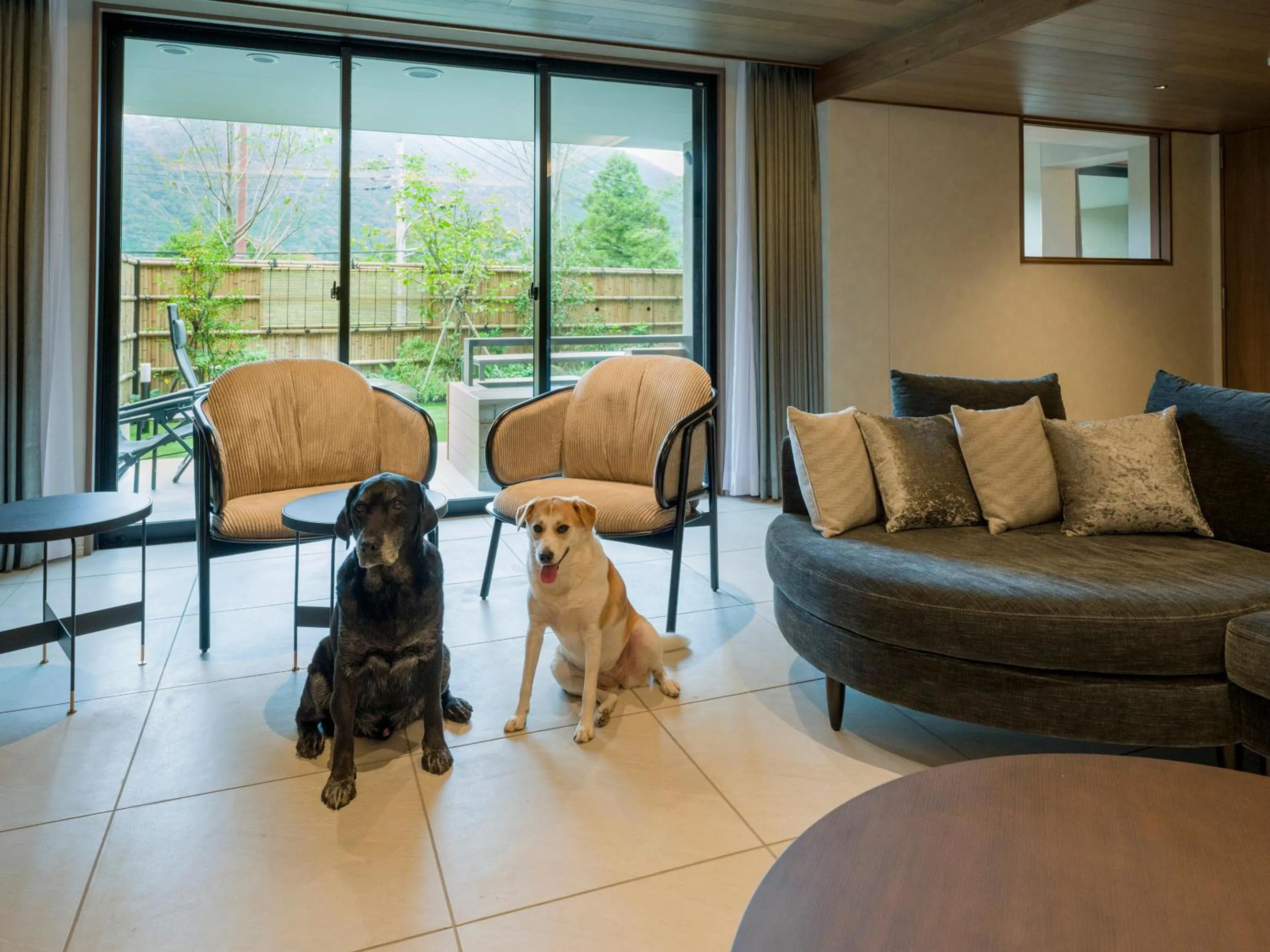 Living room in Rakuten STAY TERRACE Hakone Kowakudani