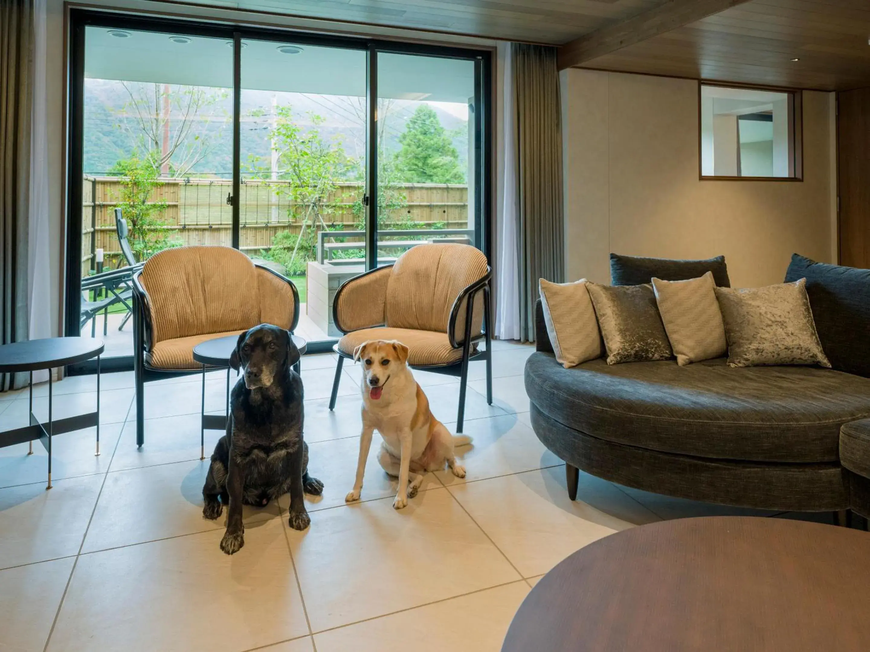 Living room in Rakuten STAY TERRACE Hakone Kowakudani Living room in Rakuten STAY TERRACE Hakone Kowakudani