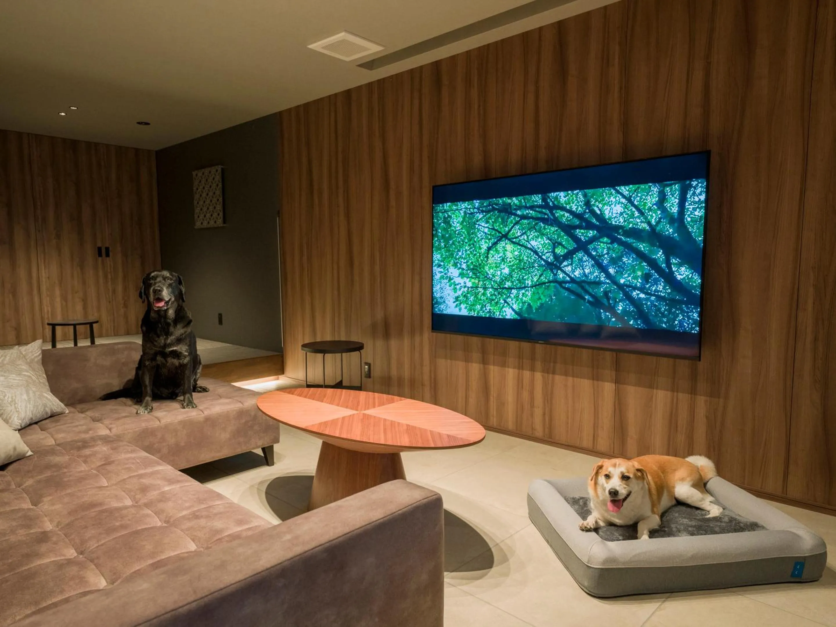 TV and multimedia in Rakuten STAY TERRACE Hakone Kowakudani