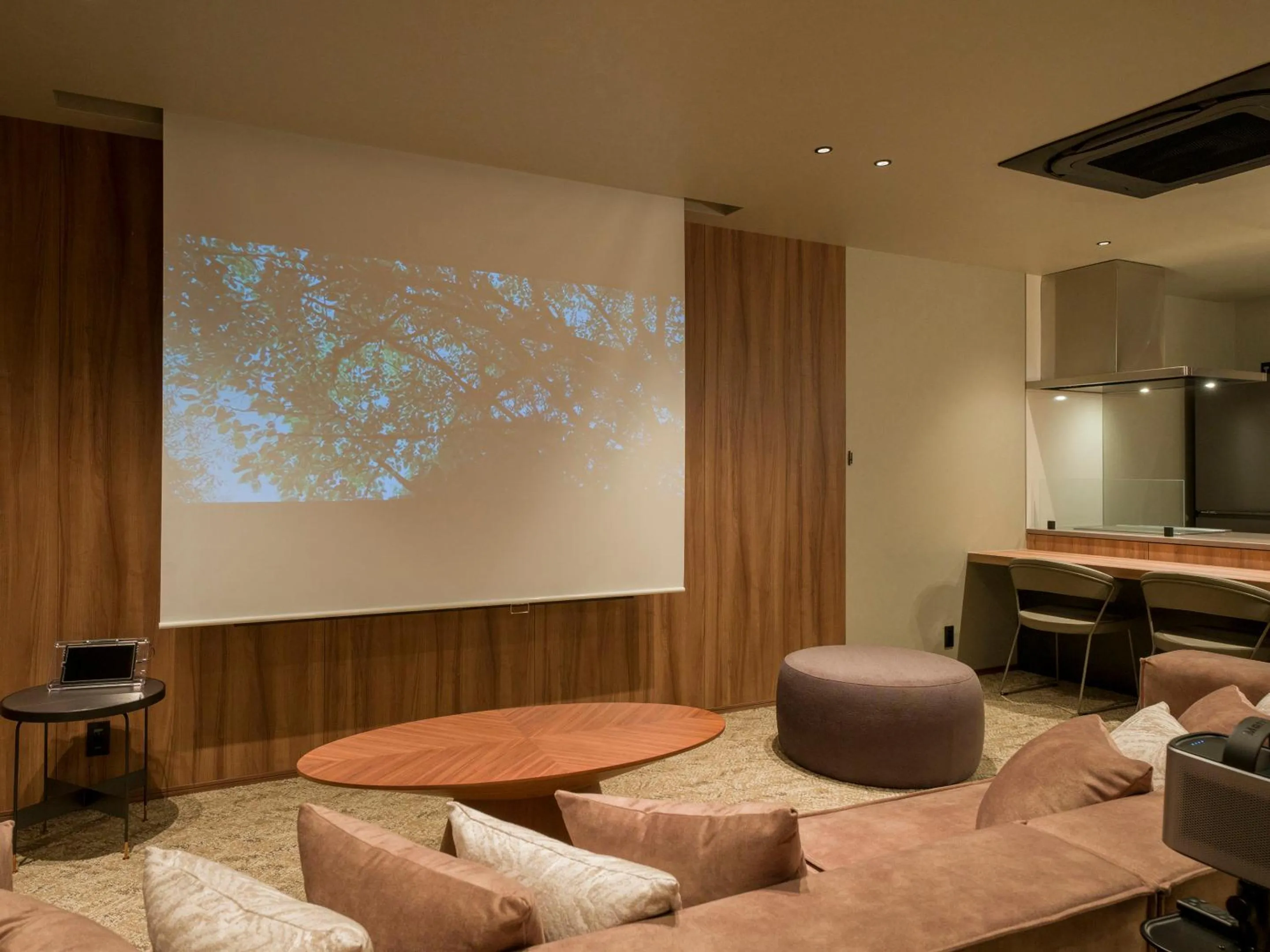 TV and multimedia in Rakuten STAY TERRACE Hakone Kowakudani