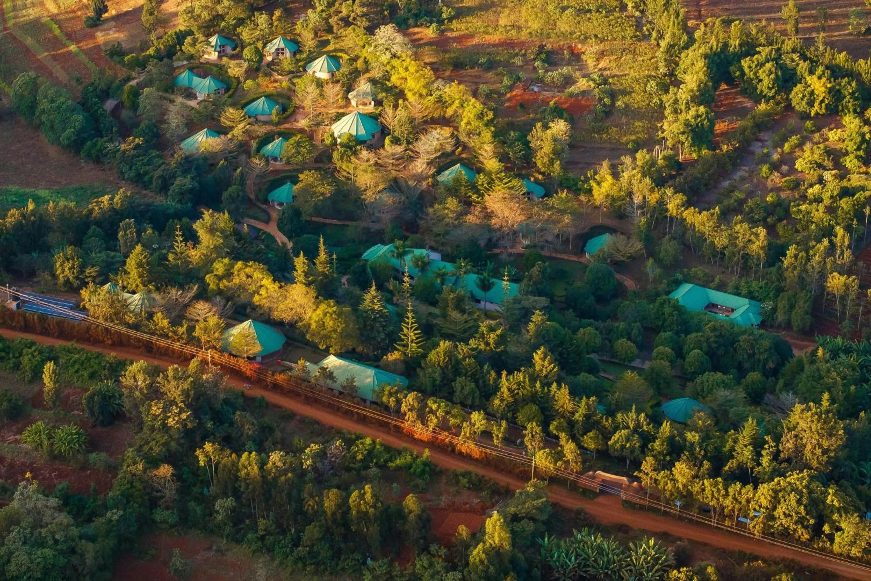 View (from property/room) in Turaco Ngorongoro Valley, a Tribute Portfolio Lodge