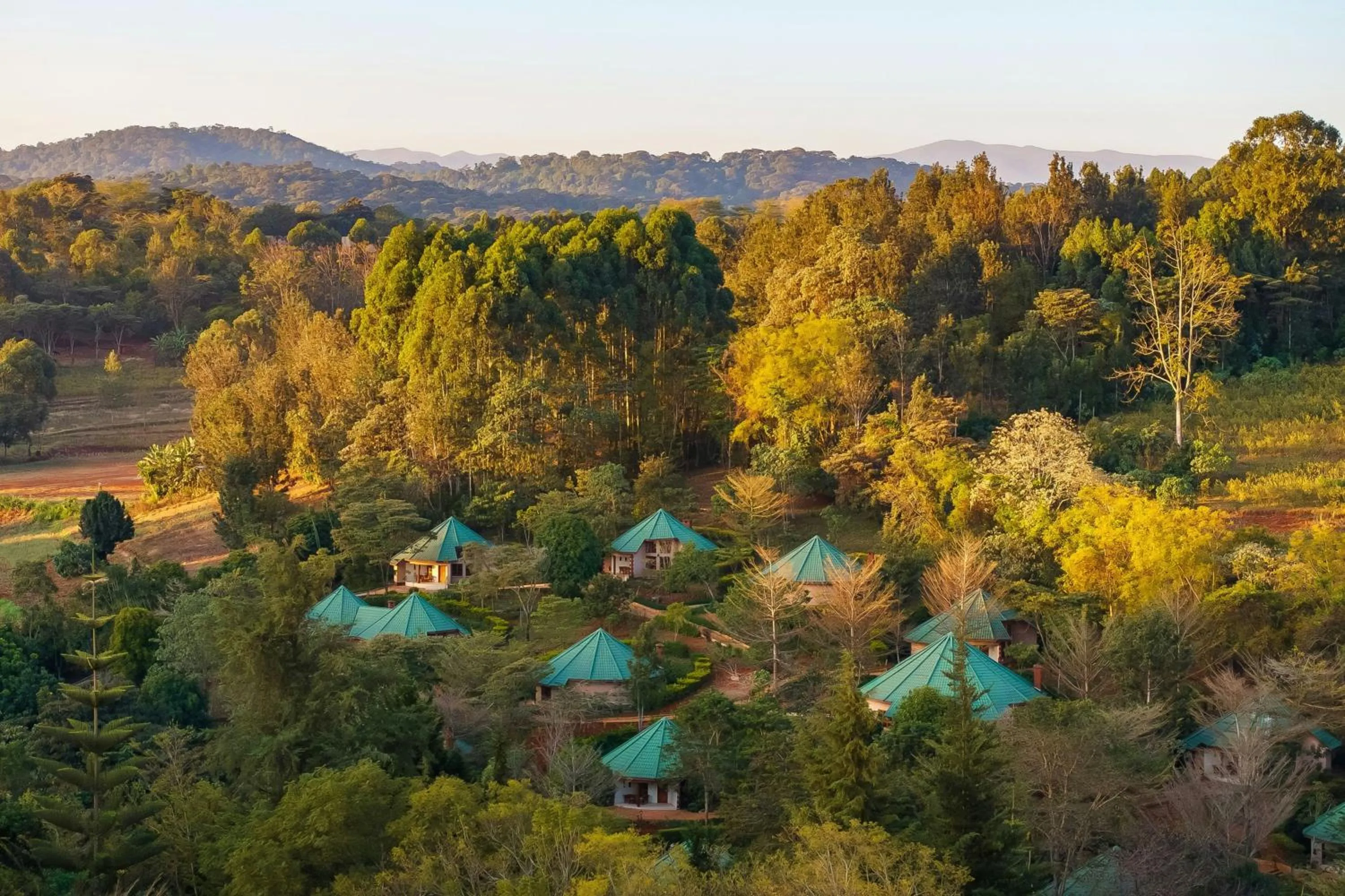 View (from property/room) in Turaco Ngorongoro Valley, a Tribute Portfolio Lodge
