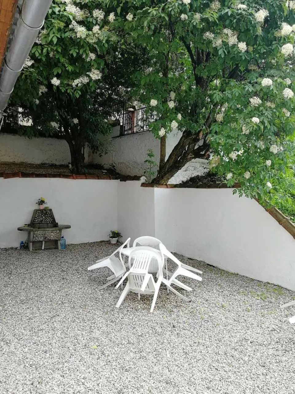 Apartments Dijana