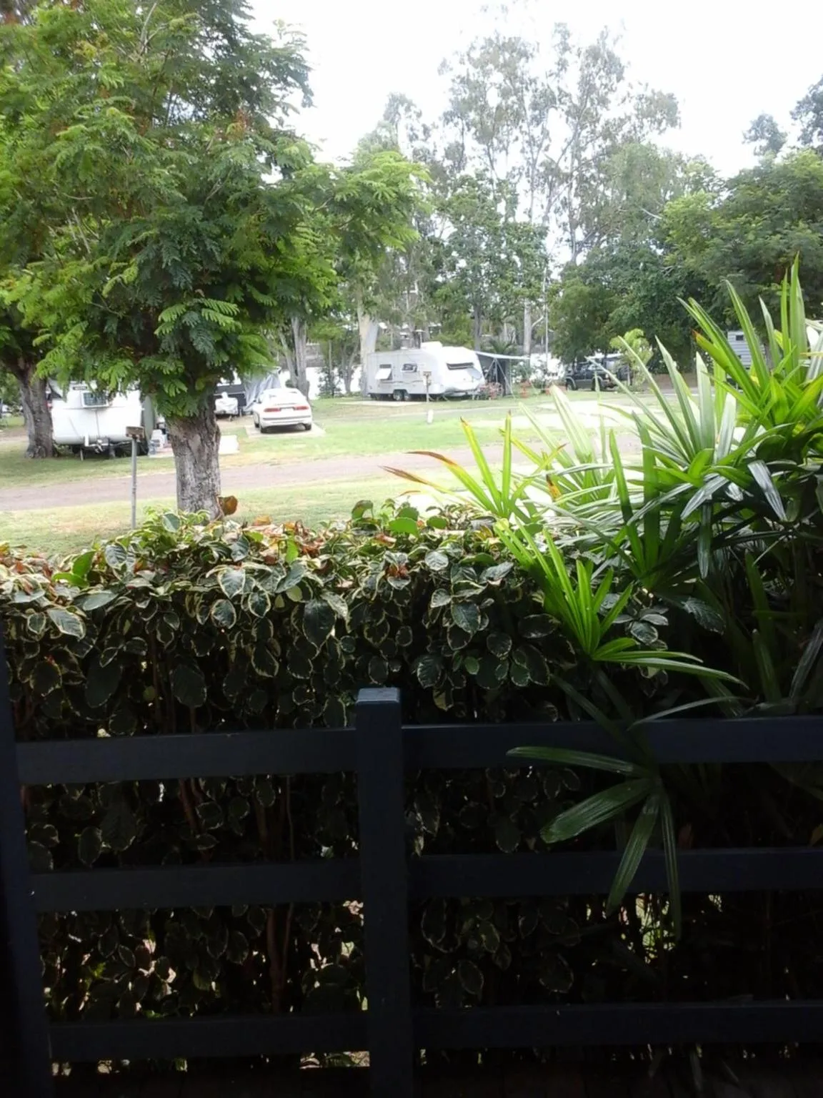 Garden view in Riverside Tourist Park