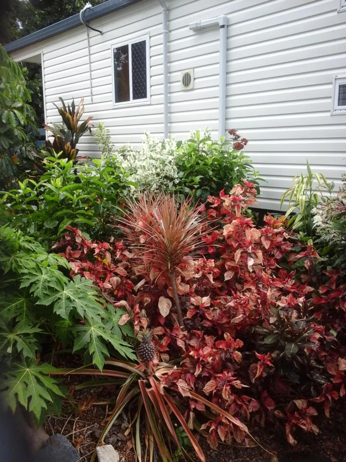 Natural landscape in Riverside Tourist Park