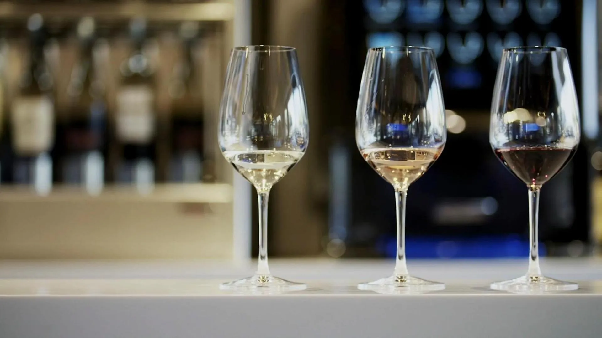 Lounge or bar in The Nest Hotel Palo Alto