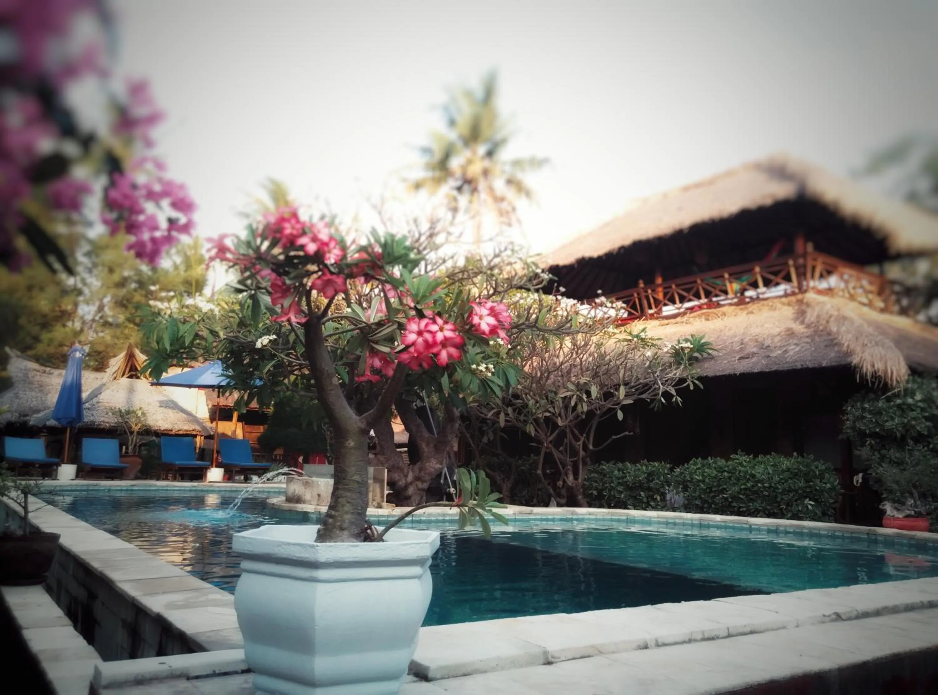 Pool view in Sejuk Cottages