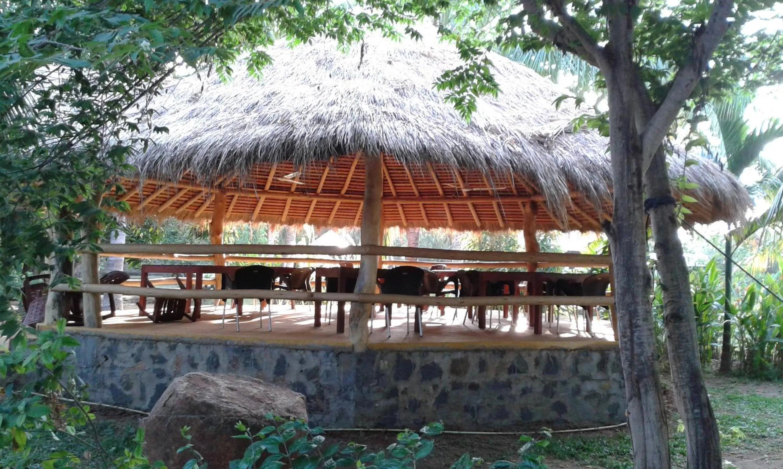 Area and facilities in The Coconut Gardens Hotel & Restaurant