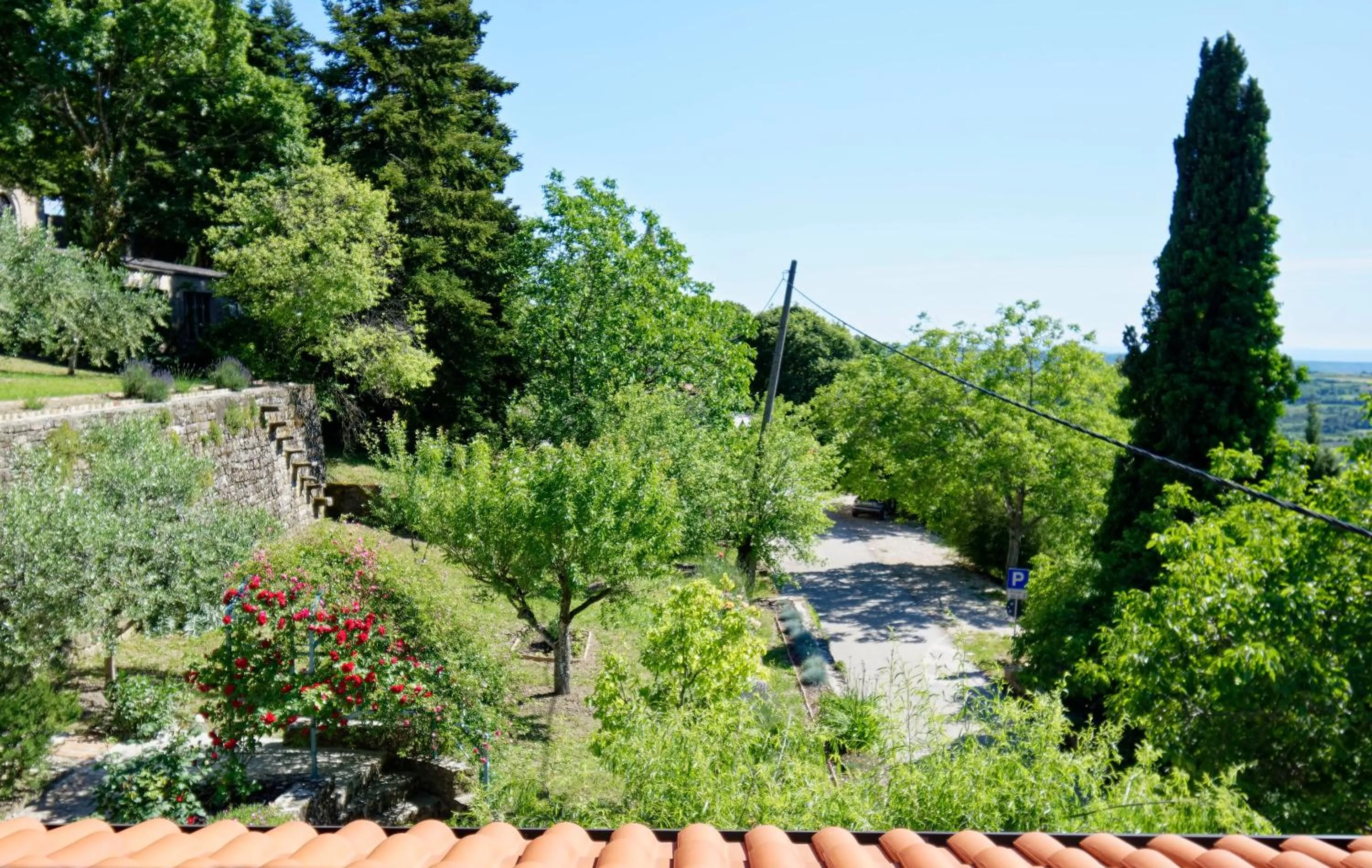 Garden in Apartments Smile by Rent Istria
