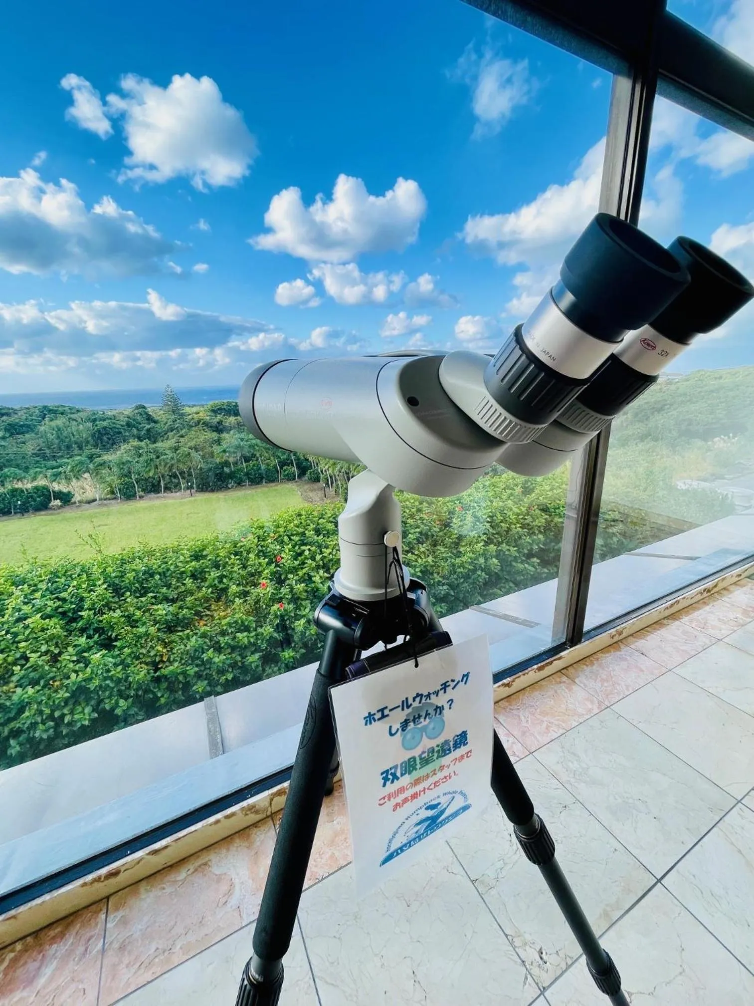 Lobby or reception in Hachijo View Hotel