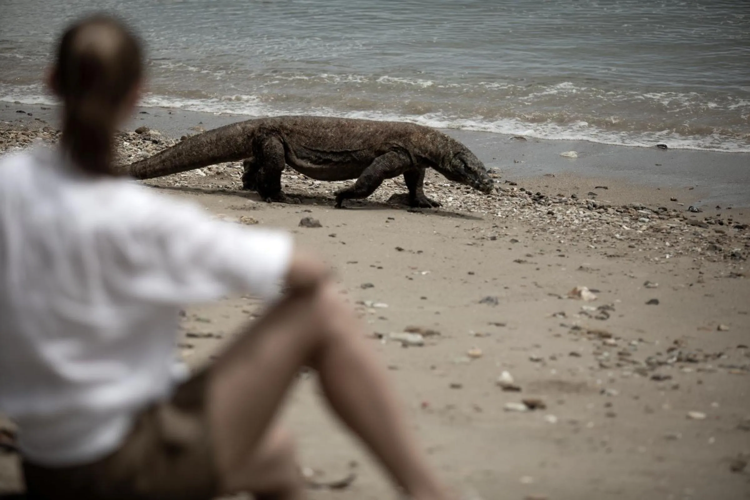 Activities in Sudamala Resort, Seraya, Flores