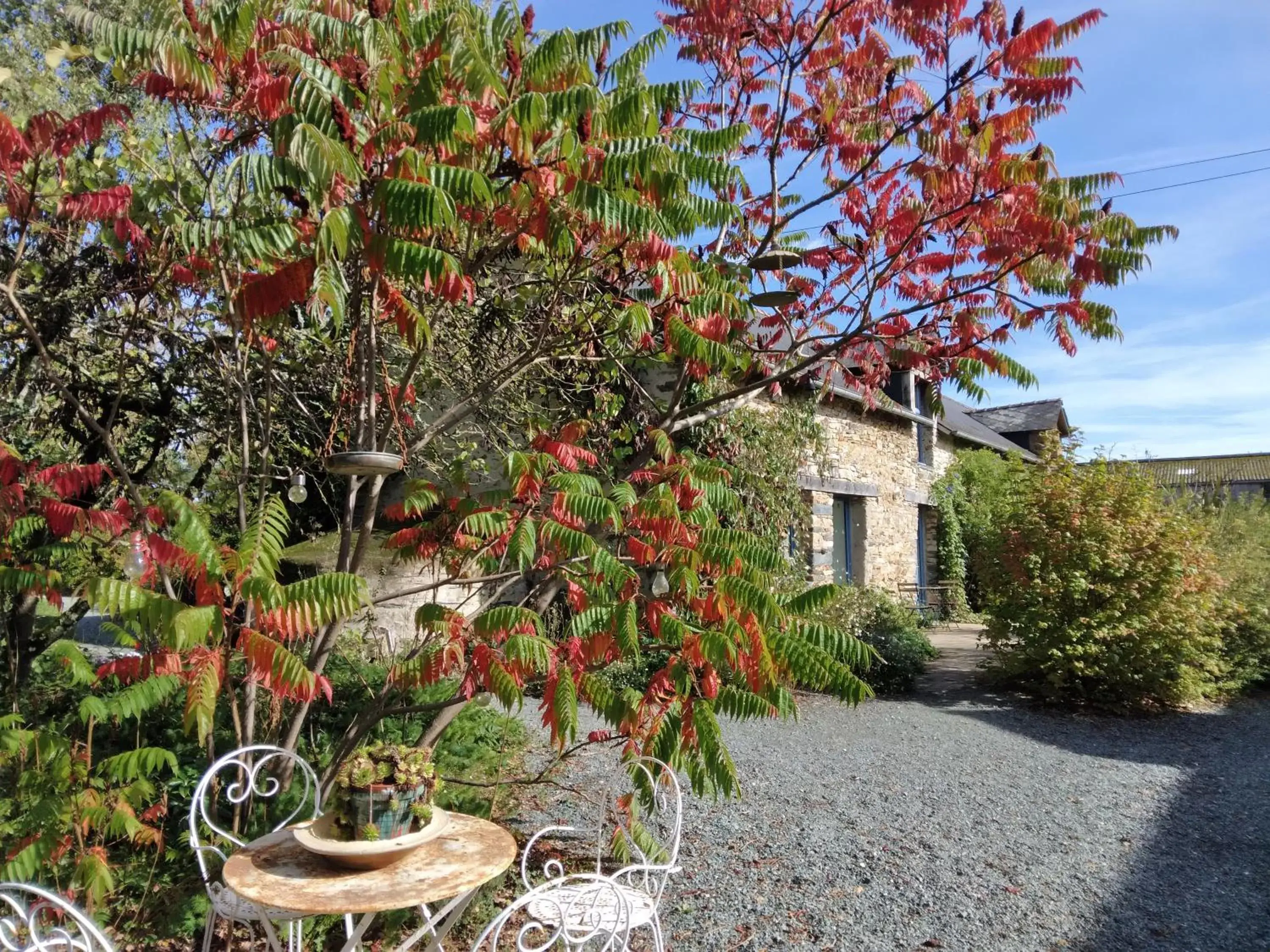 Le Chêne Blanc Le Chêne Blanc