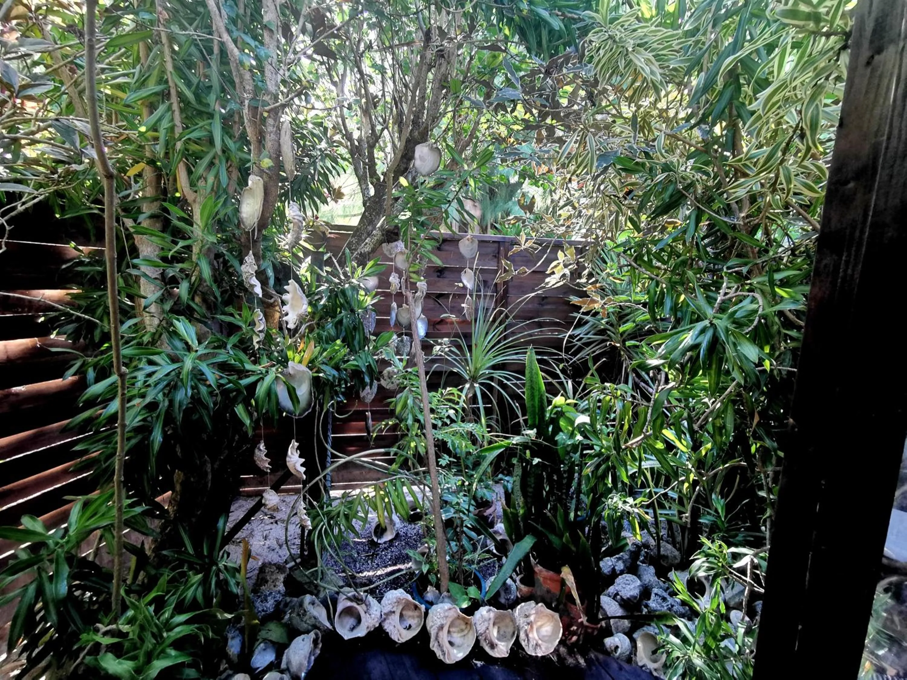 Garden in Hôtel Fenua Mata'i'oa