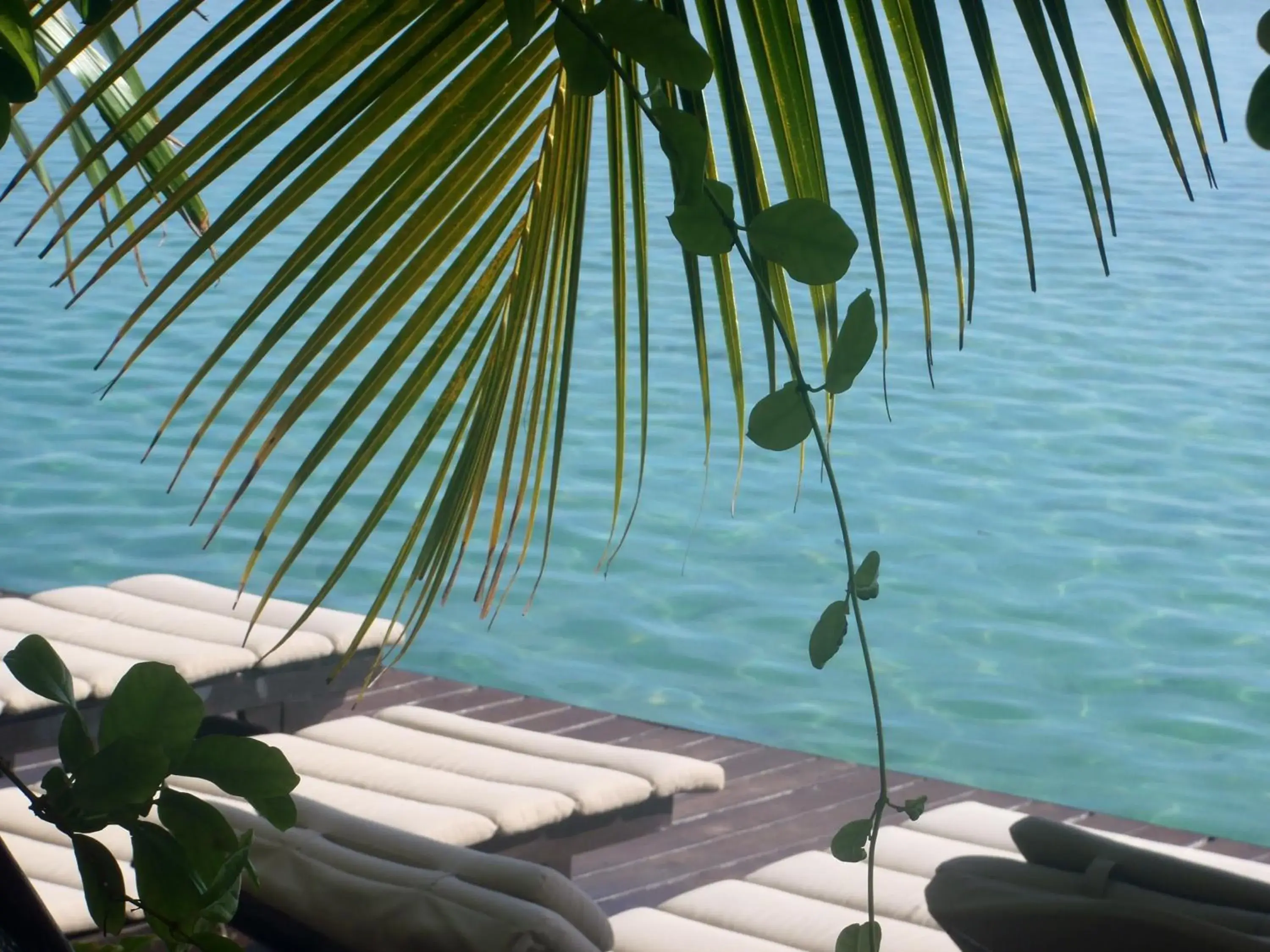 View (from property/room) in Hôtel Fenua Mata'i'oa View (from property/room) in Hôtel Fenua Mata'i'oa