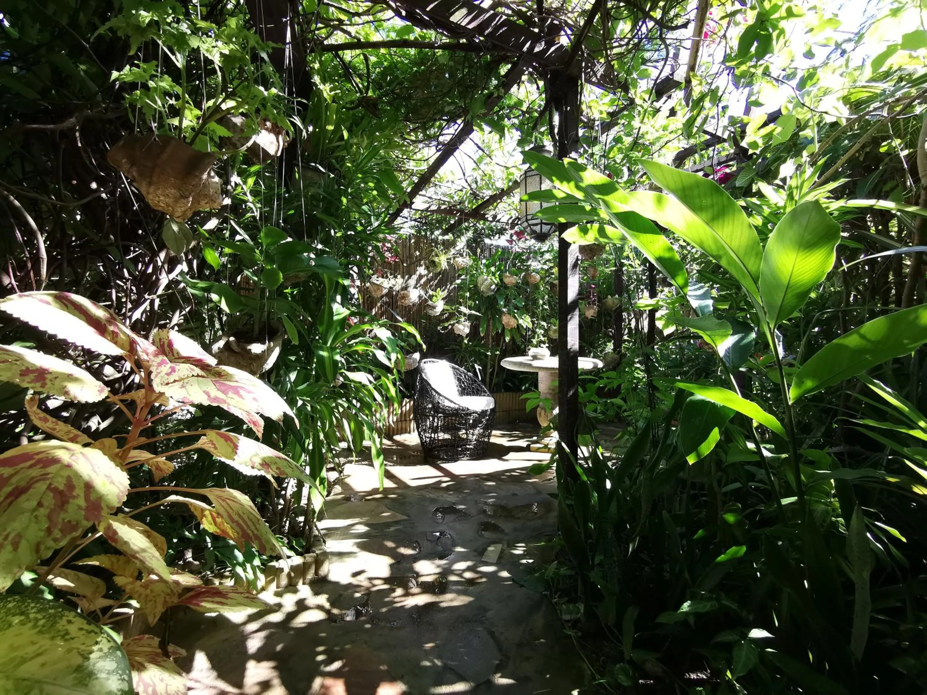 Garden in Hôtel Fenua Mata'i'oa