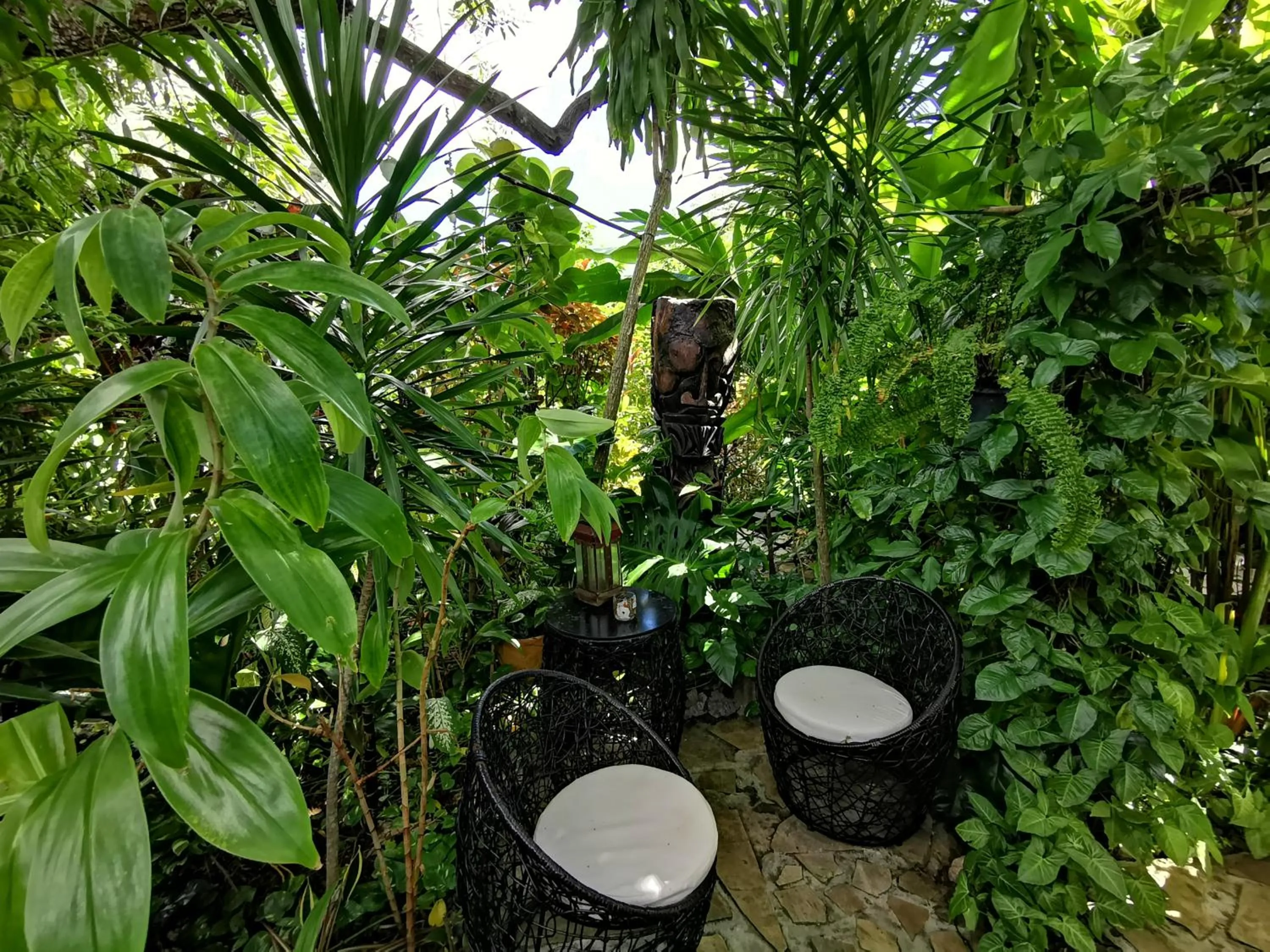 Garden in Hôtel Fenua Mata'i'oa
