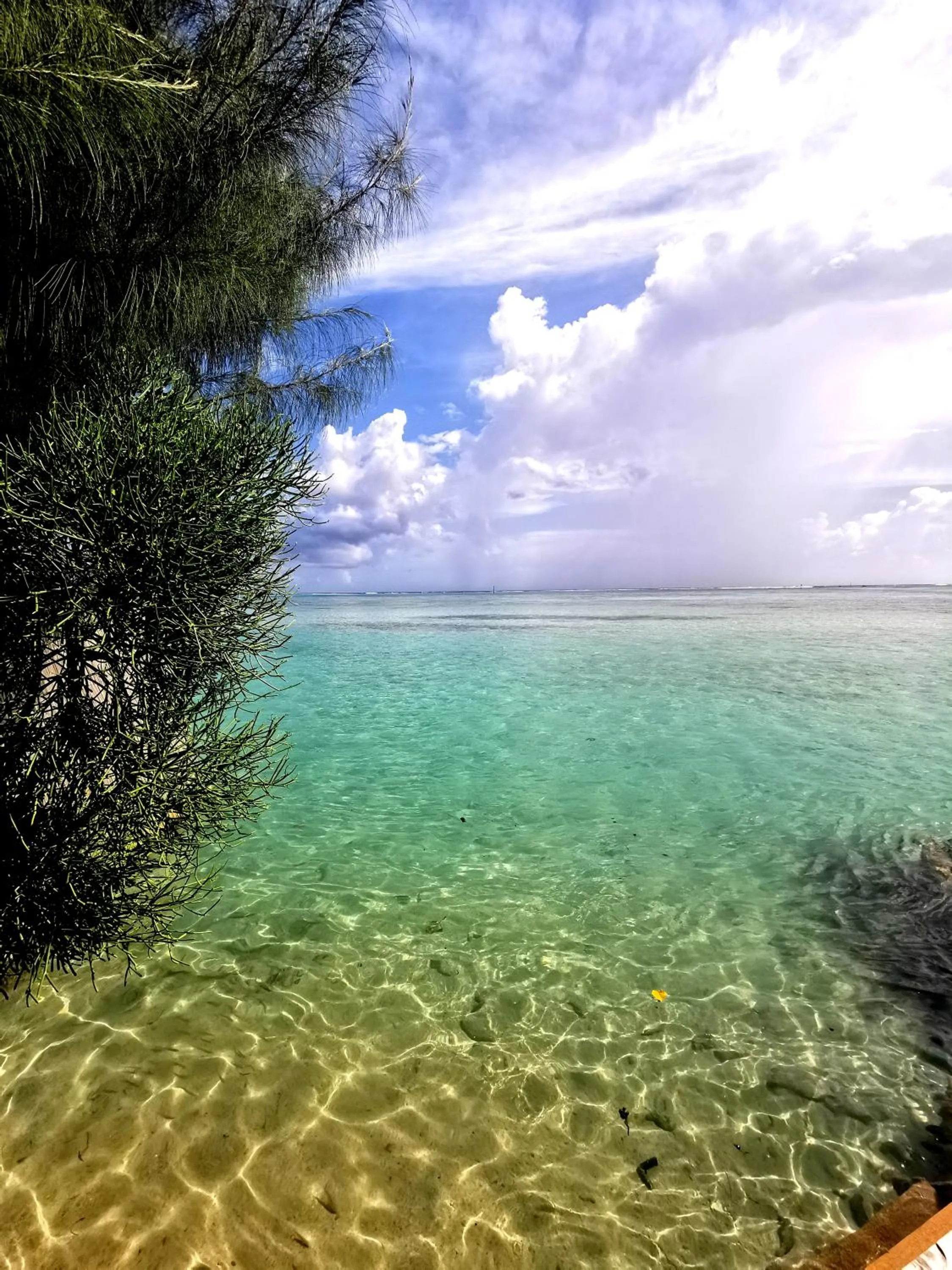 Beach in Hôtel Fenua Mata'i'oa