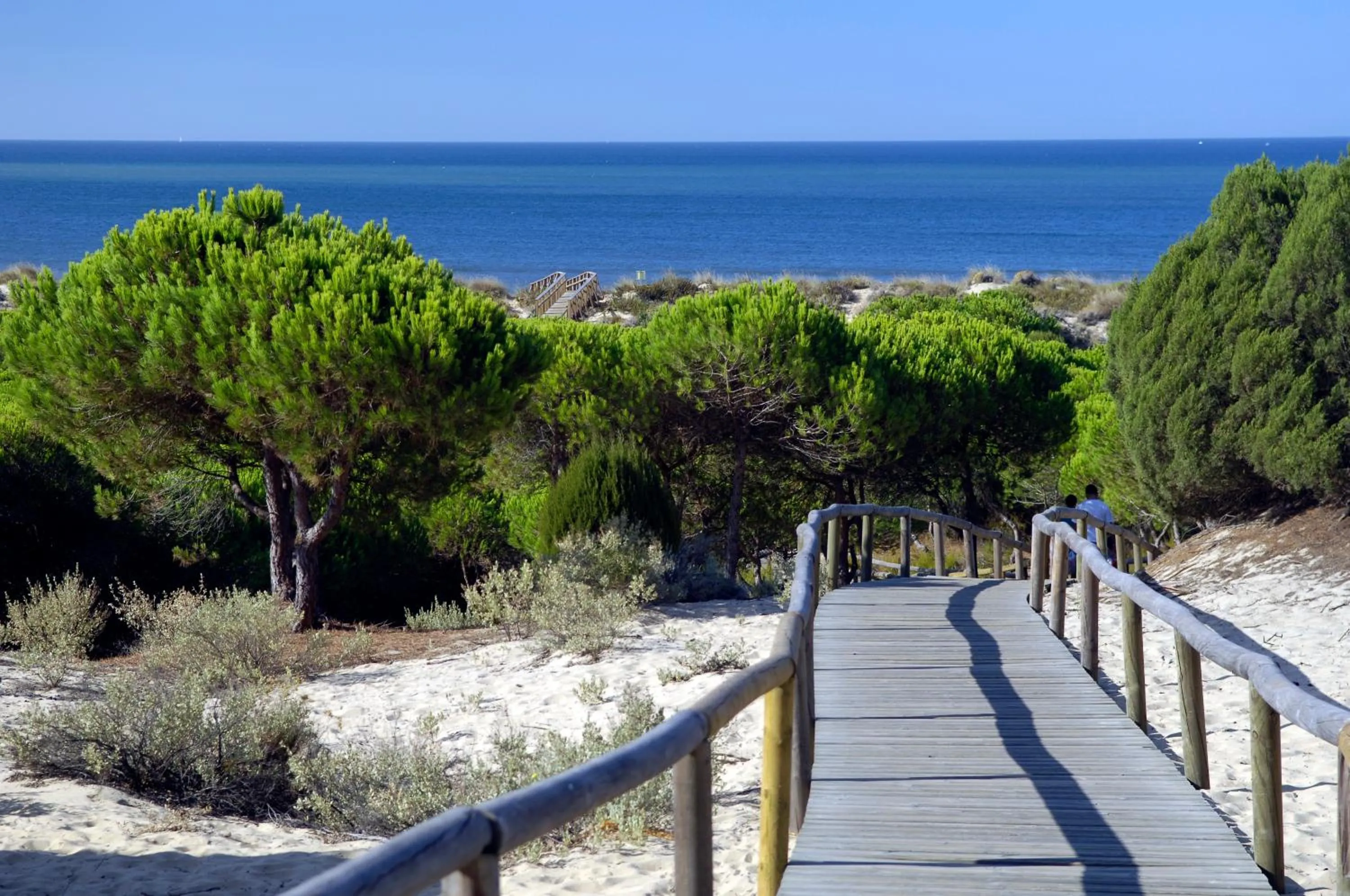 Nearby landmark in Leo Punta Umbría