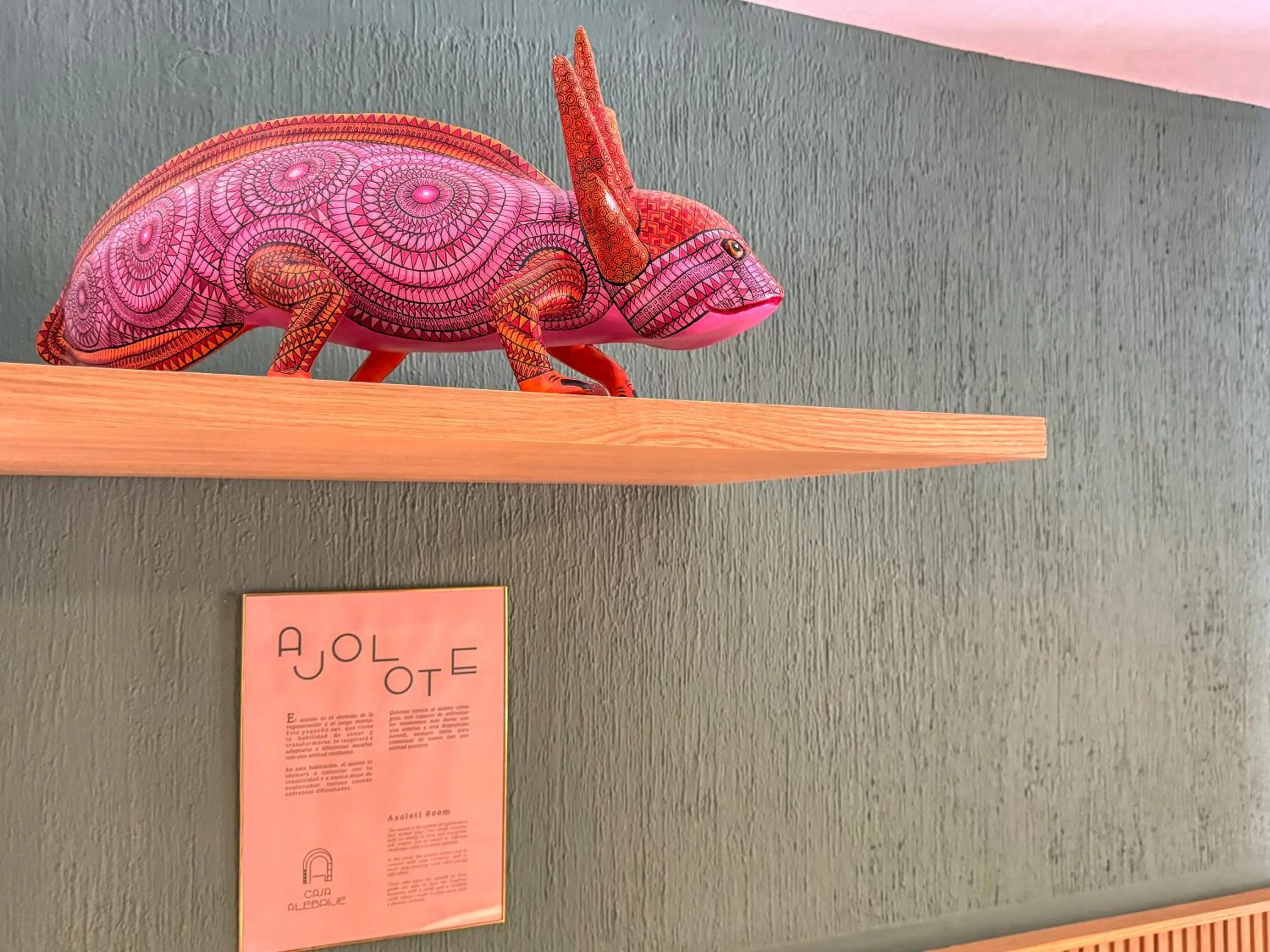 TV and multimedia in Hotel Boutique Casa Alebrije