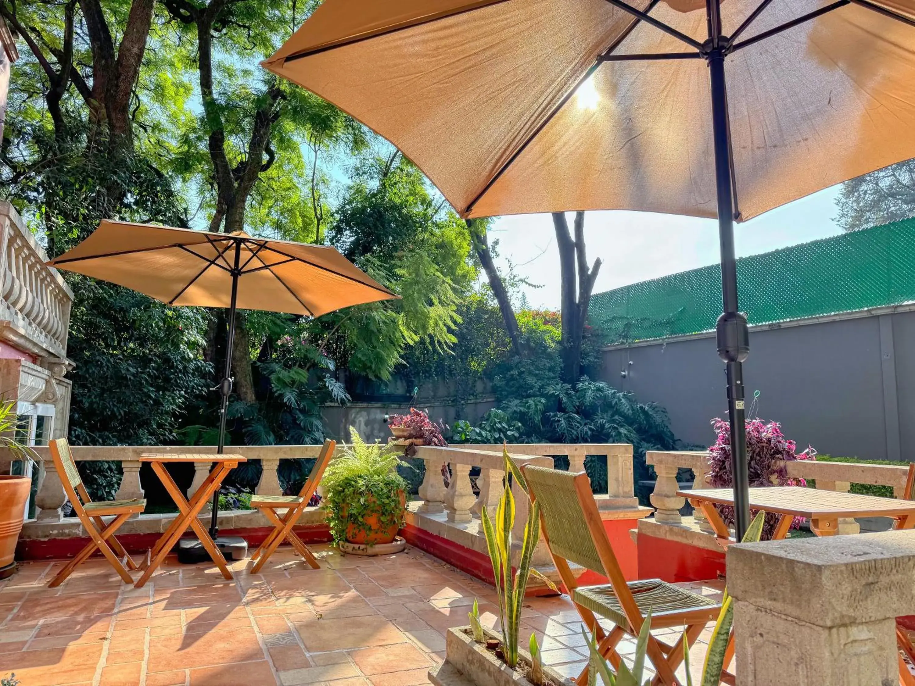 Hotel Boutique Casa Alebrije Hotel Boutique Casa Alebrije