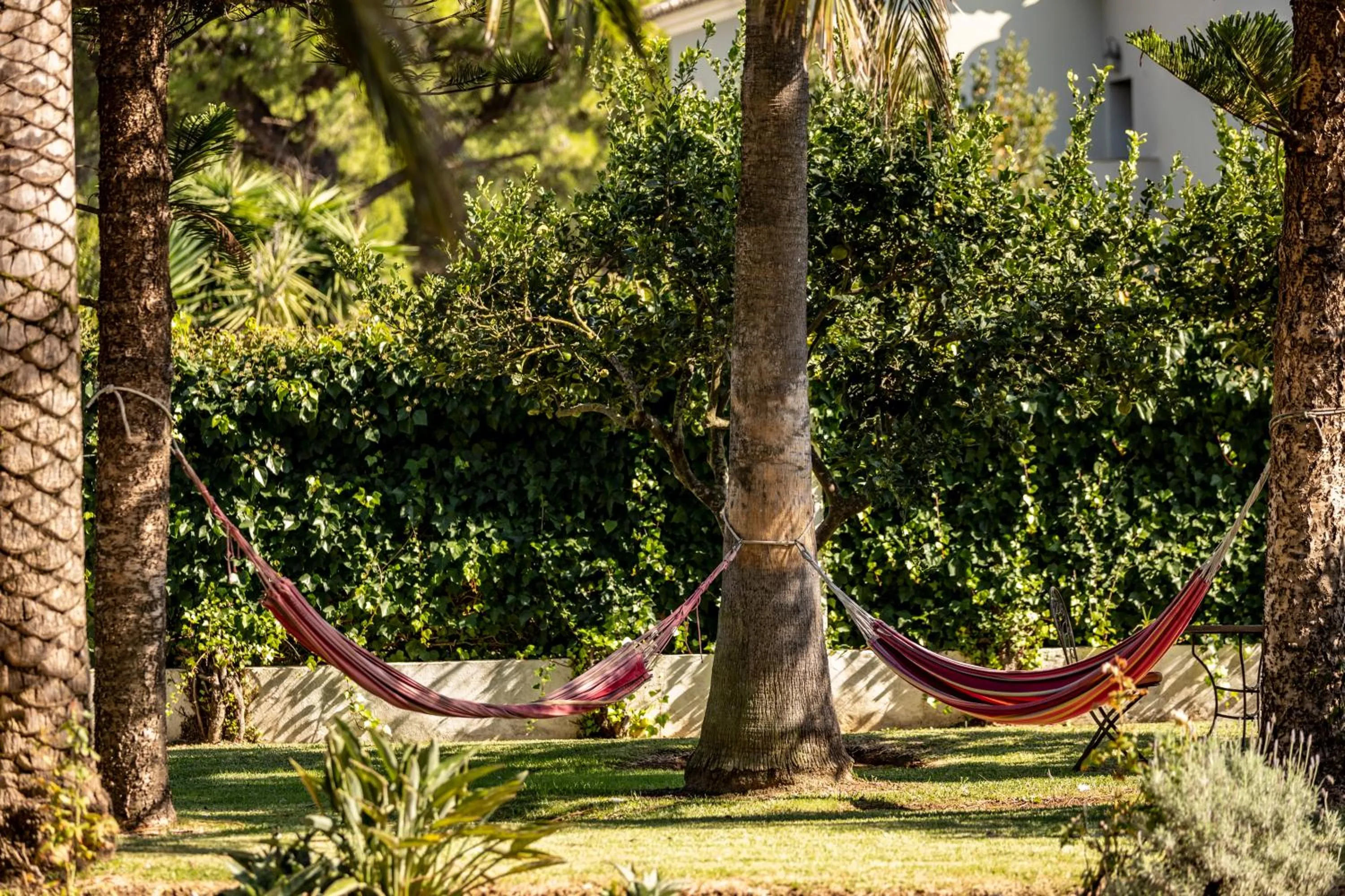 Garden in Paraiso Perdido