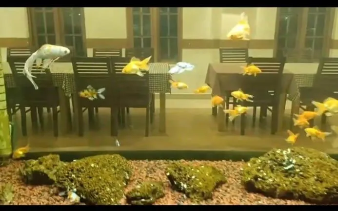 Seaflare Beach Resort & Spa