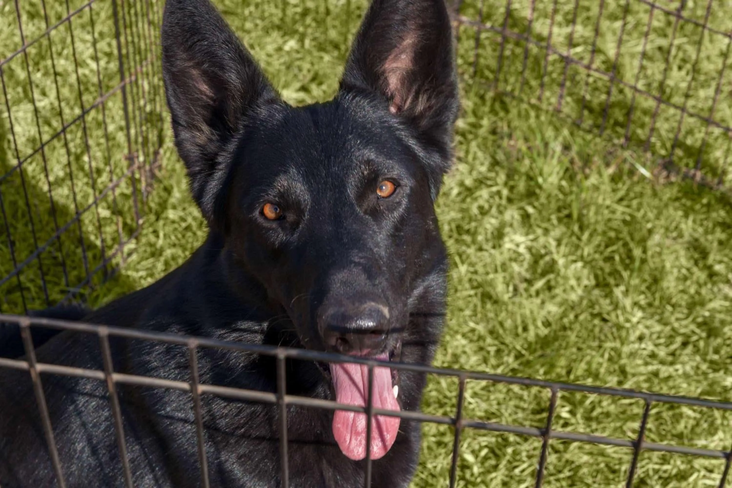 On site in Days Inn & Suites by Wyndham Altoona