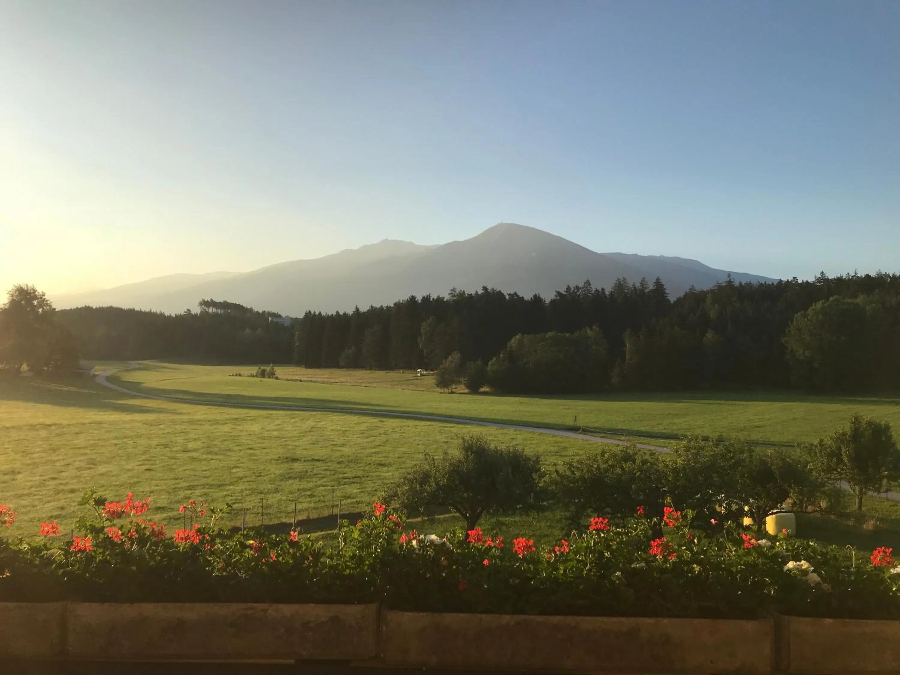 Balcony/Terrace in Landhotel Gasthof Eichhof Natters
