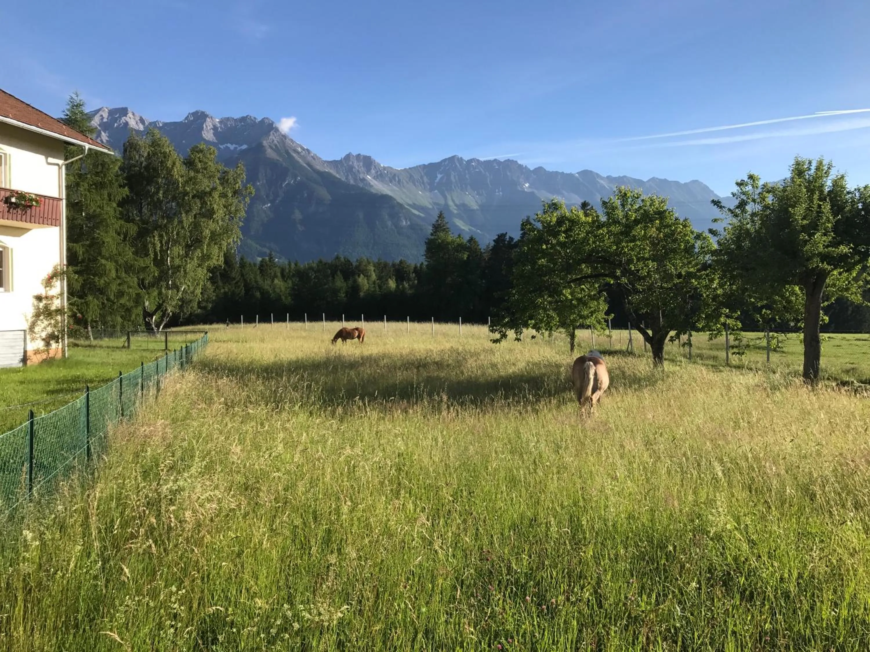 Natural landscape in Landhotel Gasthof Eichhof Natters