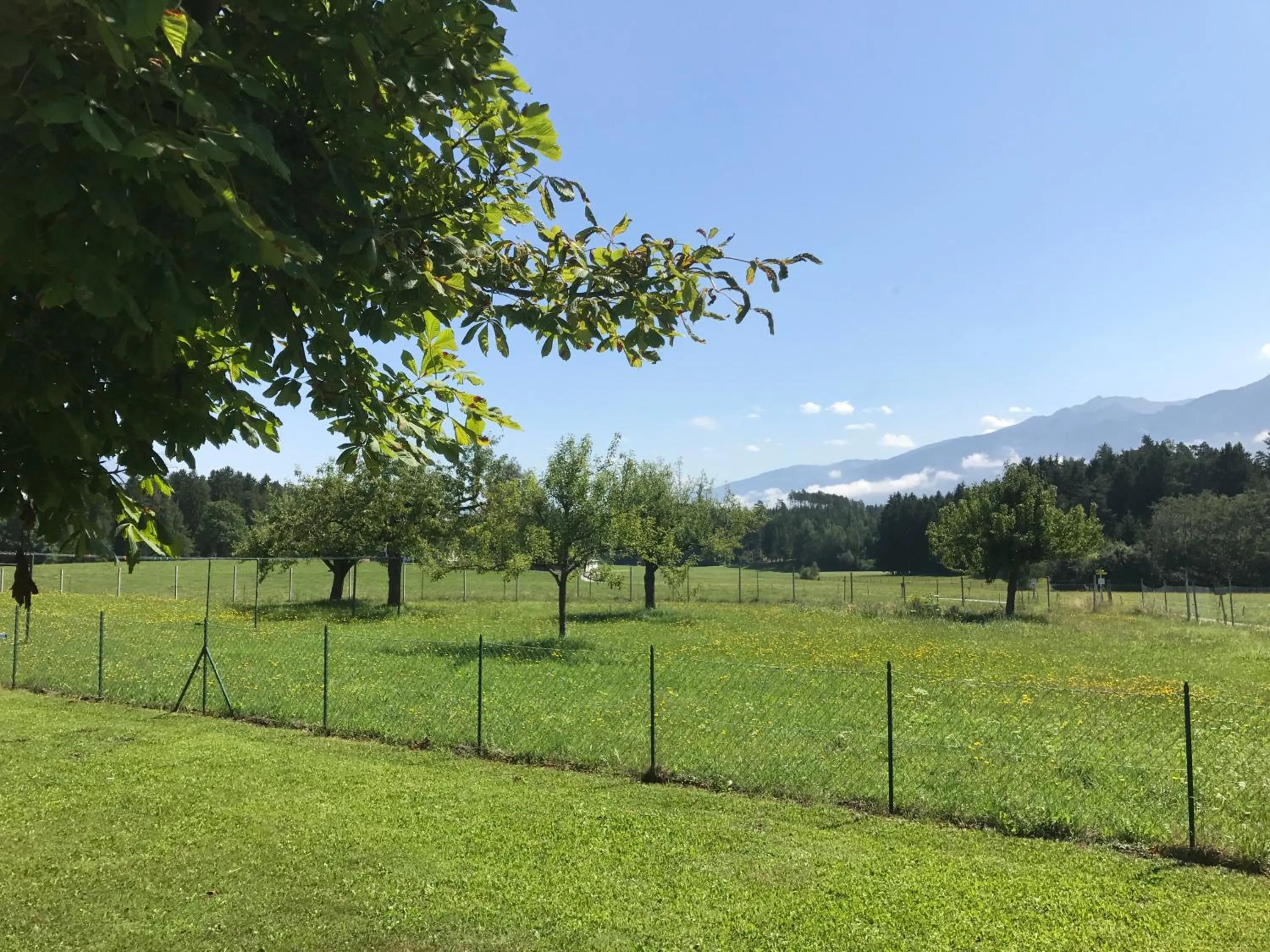 Mountain view in Landhotel Gasthof Eichhof Natters